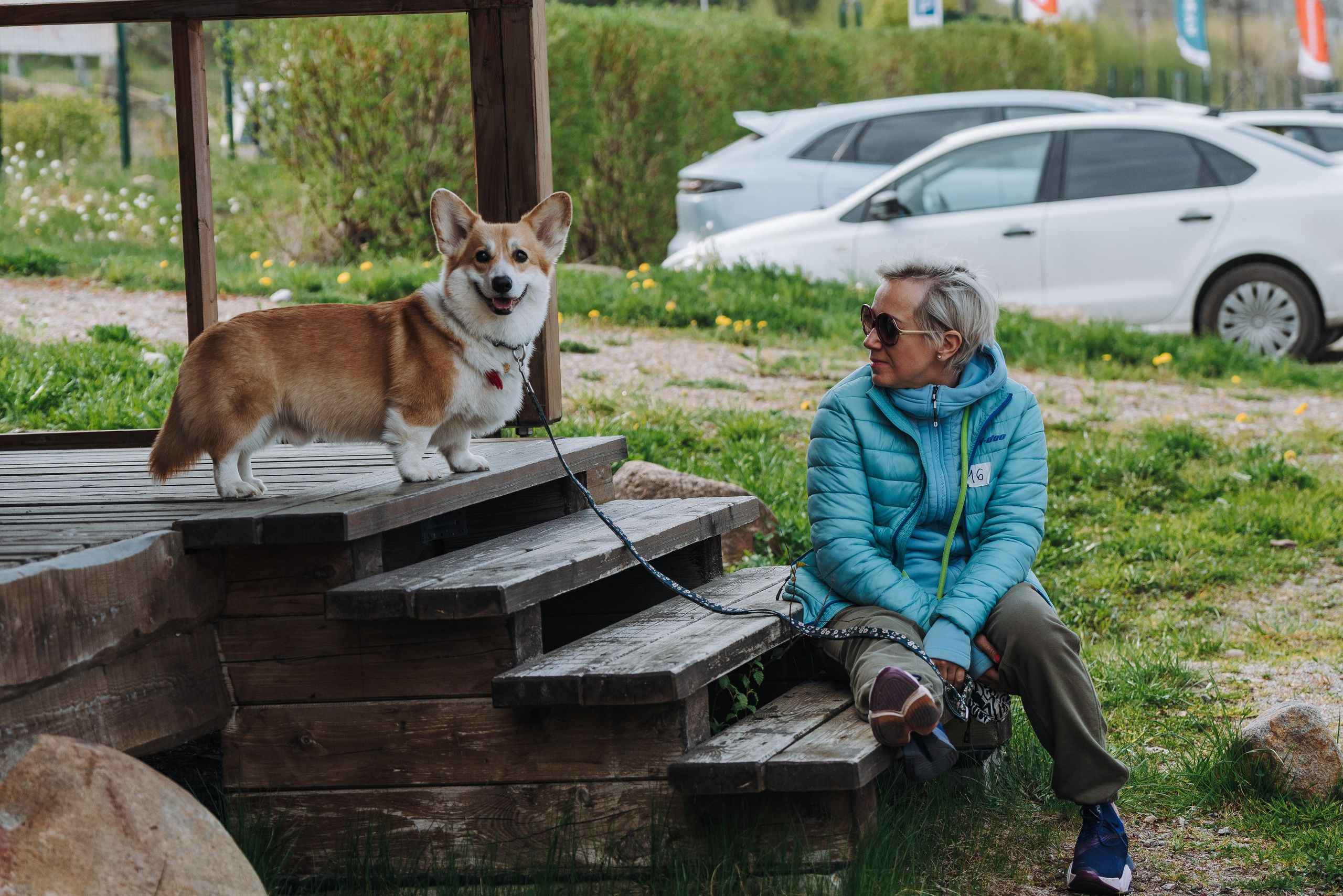 Соревнования по ноузворку в Лосево. Фотограф анималист в Спб недорого Олеся Майорова