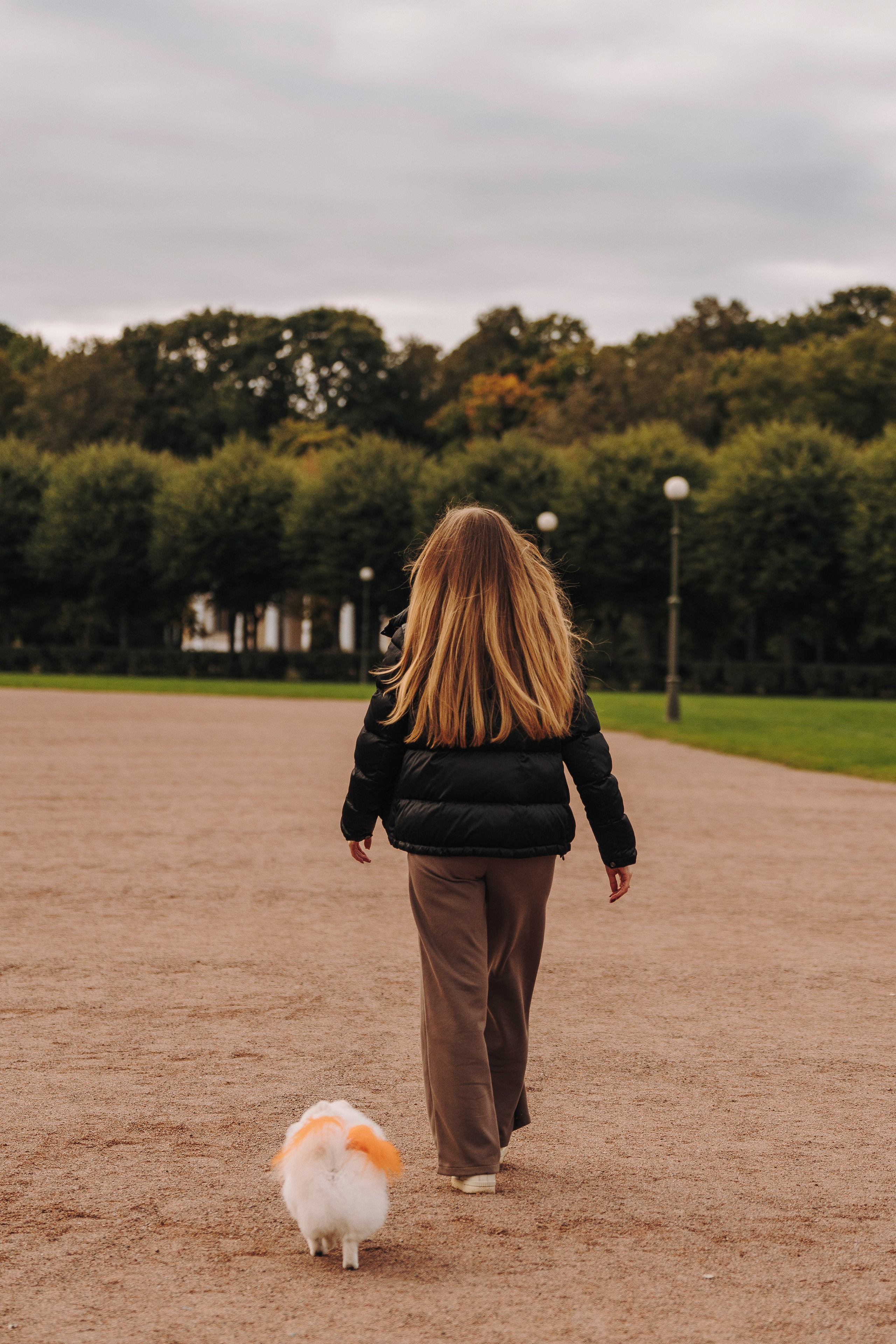 Фотосессия с померанским шпицем. Фотограф анималист в Спб недорого Олеся Майорова