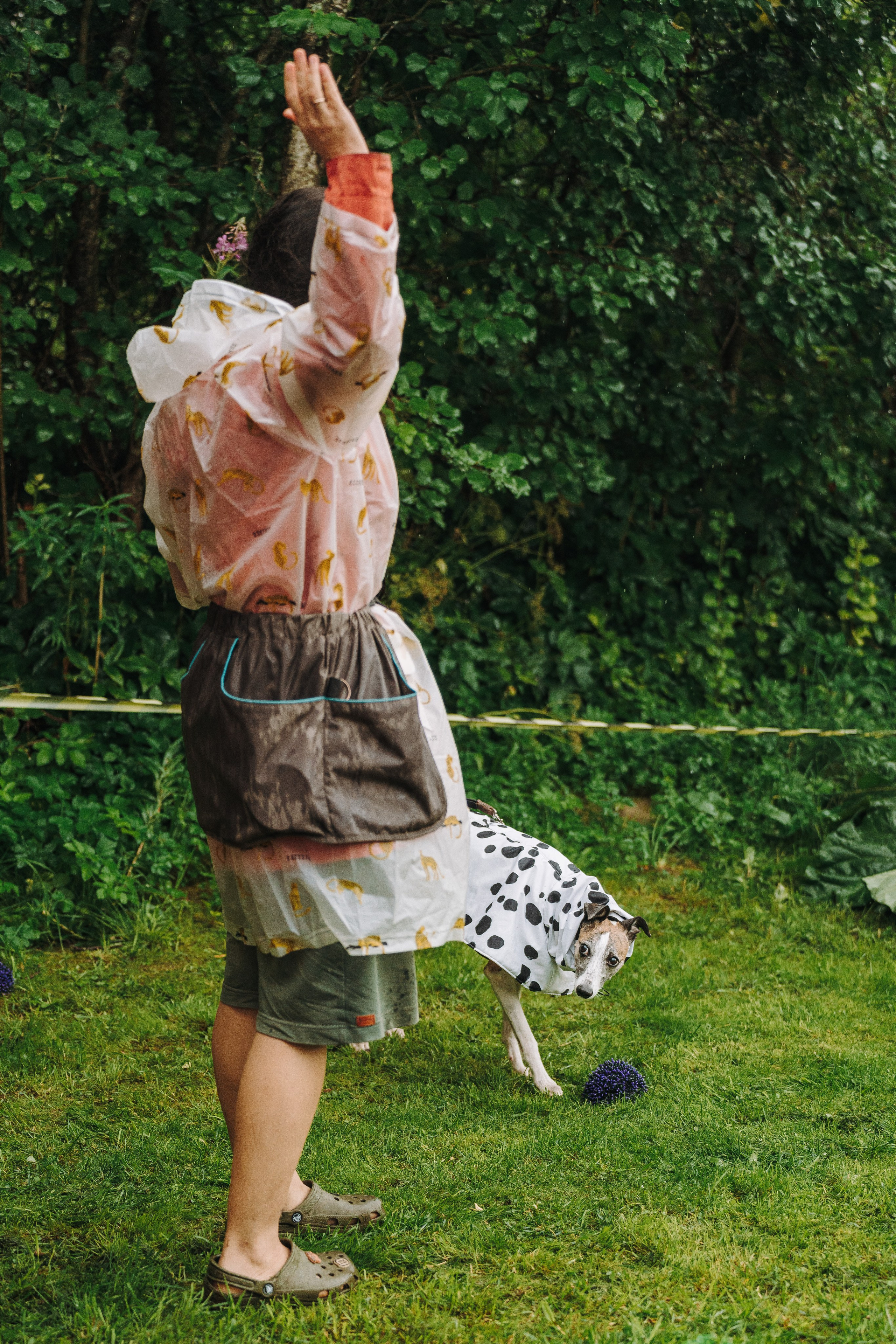 Соревнования по ноузворку в Новожилово. Фотограф анималист в Спб недорого Олеся Майорова