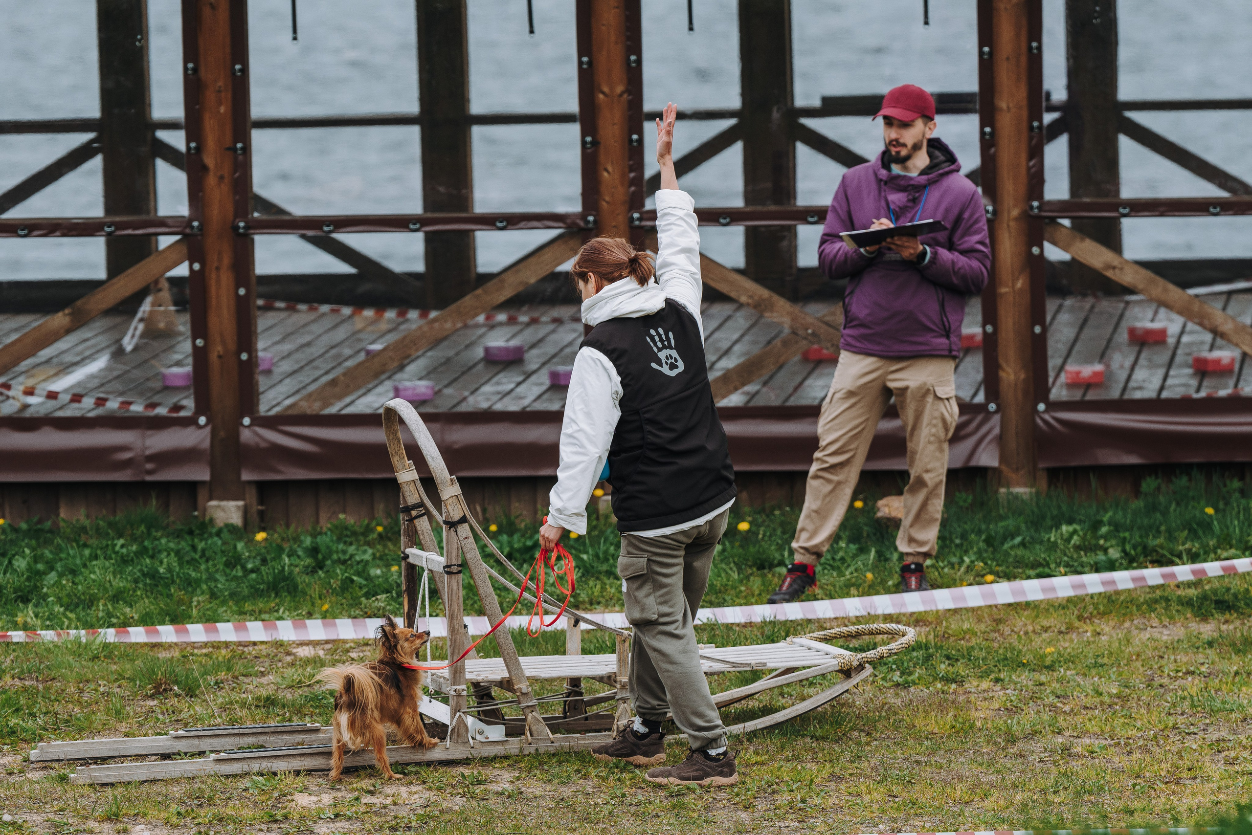 Соревнования по ноузворку в Лосево. Фотограф анималист в Спб недорого Олеся Майорова
