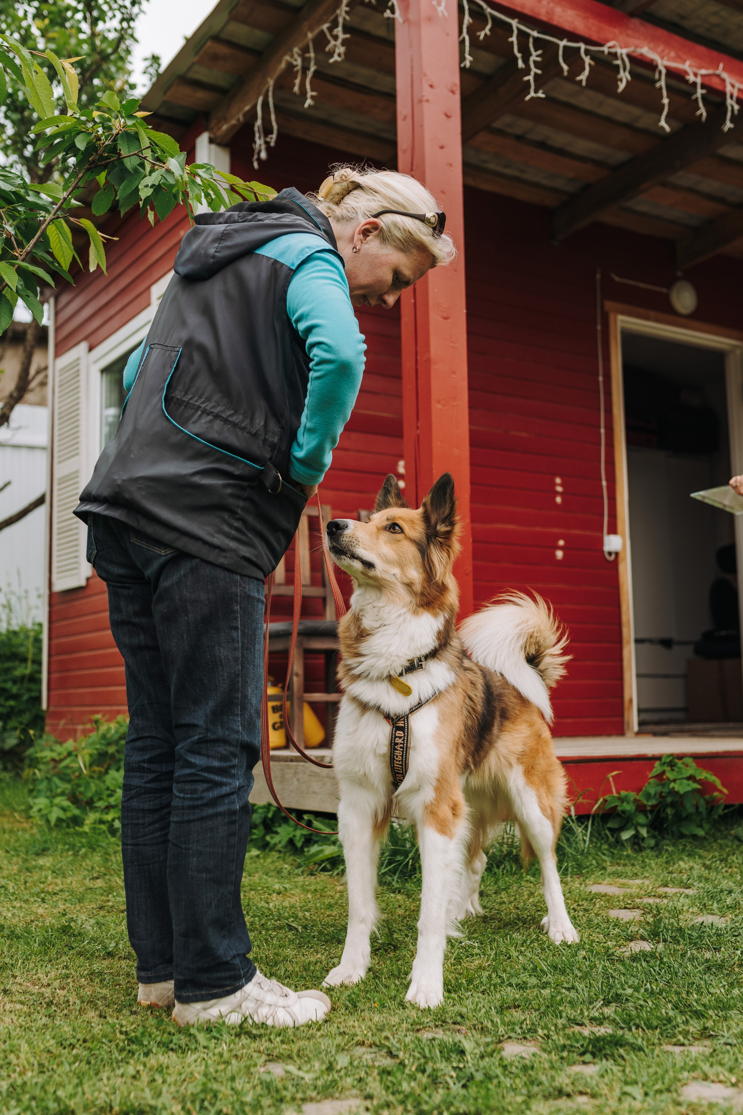 Соревнования по ноузворку. Фотограф анималист в Спб недорого Олеся Майорова