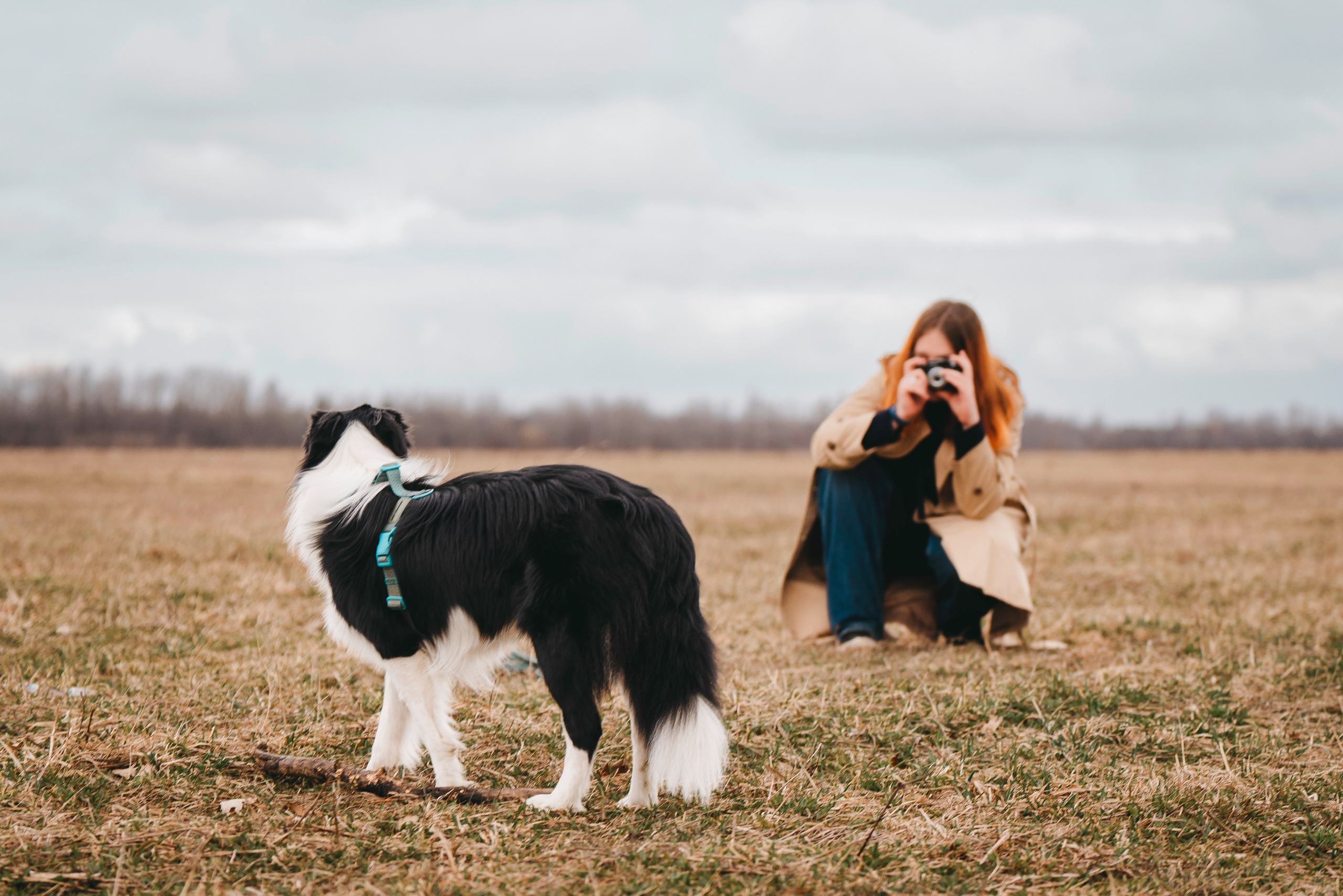 Нил и Алёна. Фотограф анималист в Спб недорого Олеся Майорова