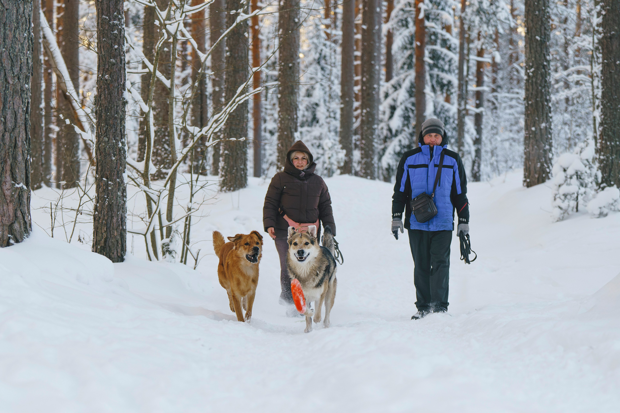 Рэй, Кузя, Ольга и Александр. Фотограф анималист в Спб недорого Олеся Майорова