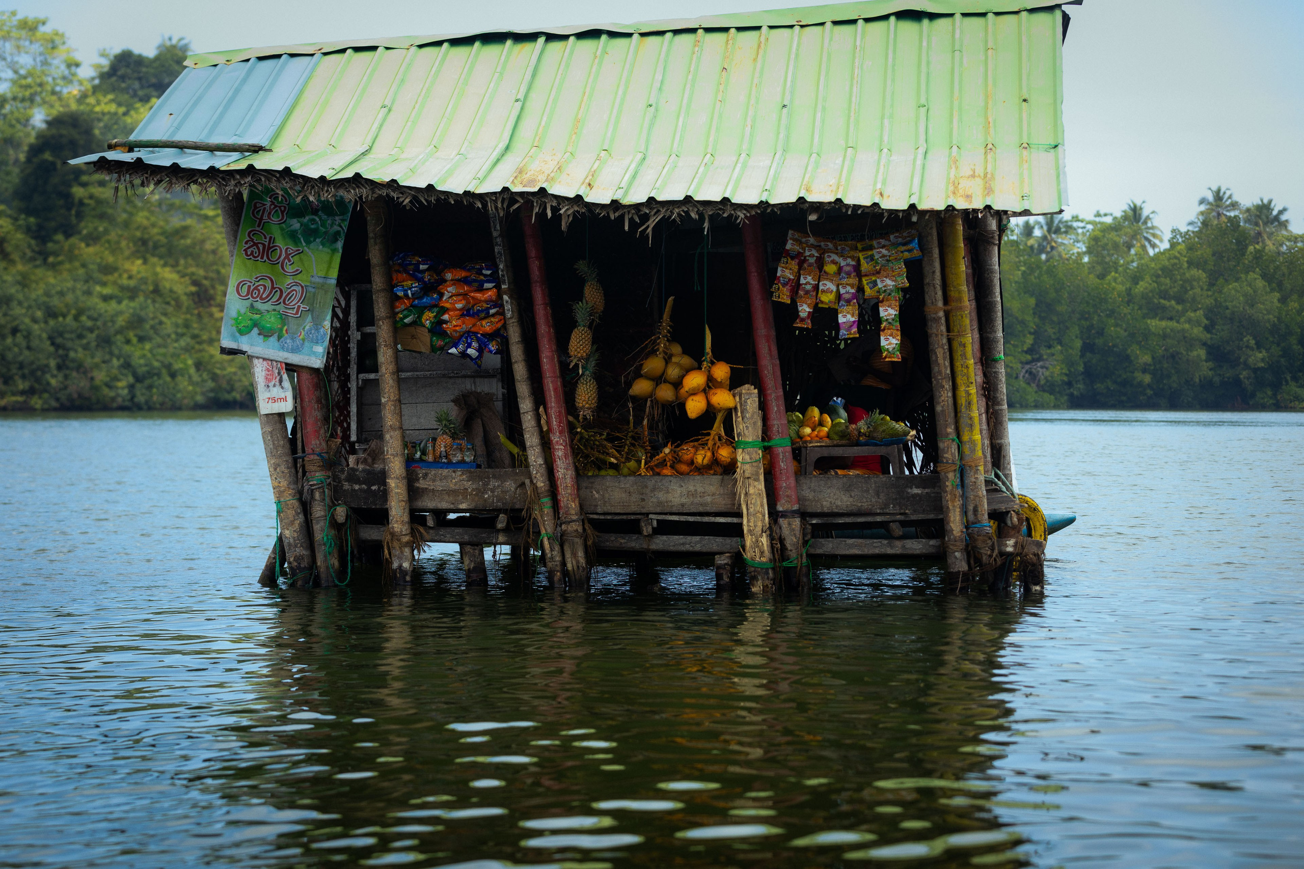 Шри-Ланка (весна 2024). Фотограф Виноградов Константин