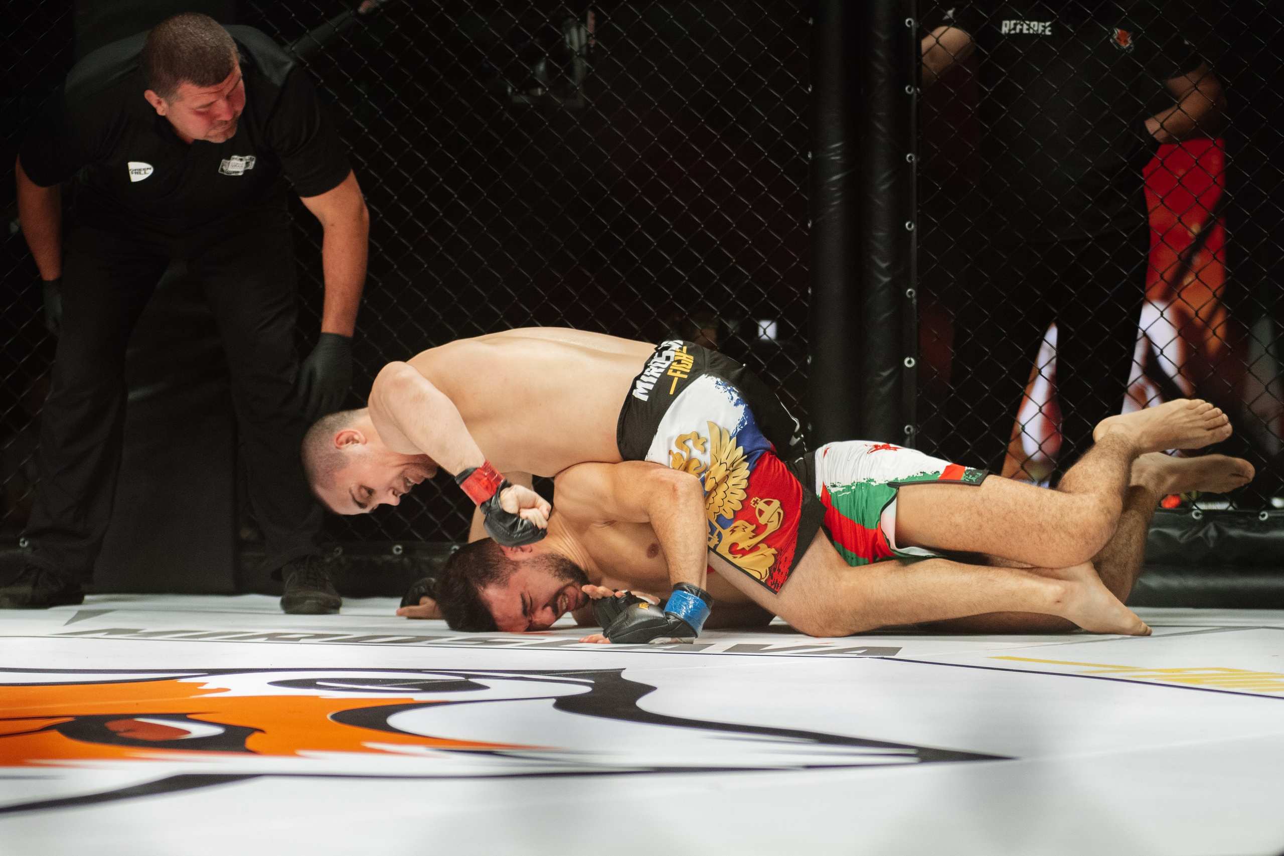 Miroslava Fight