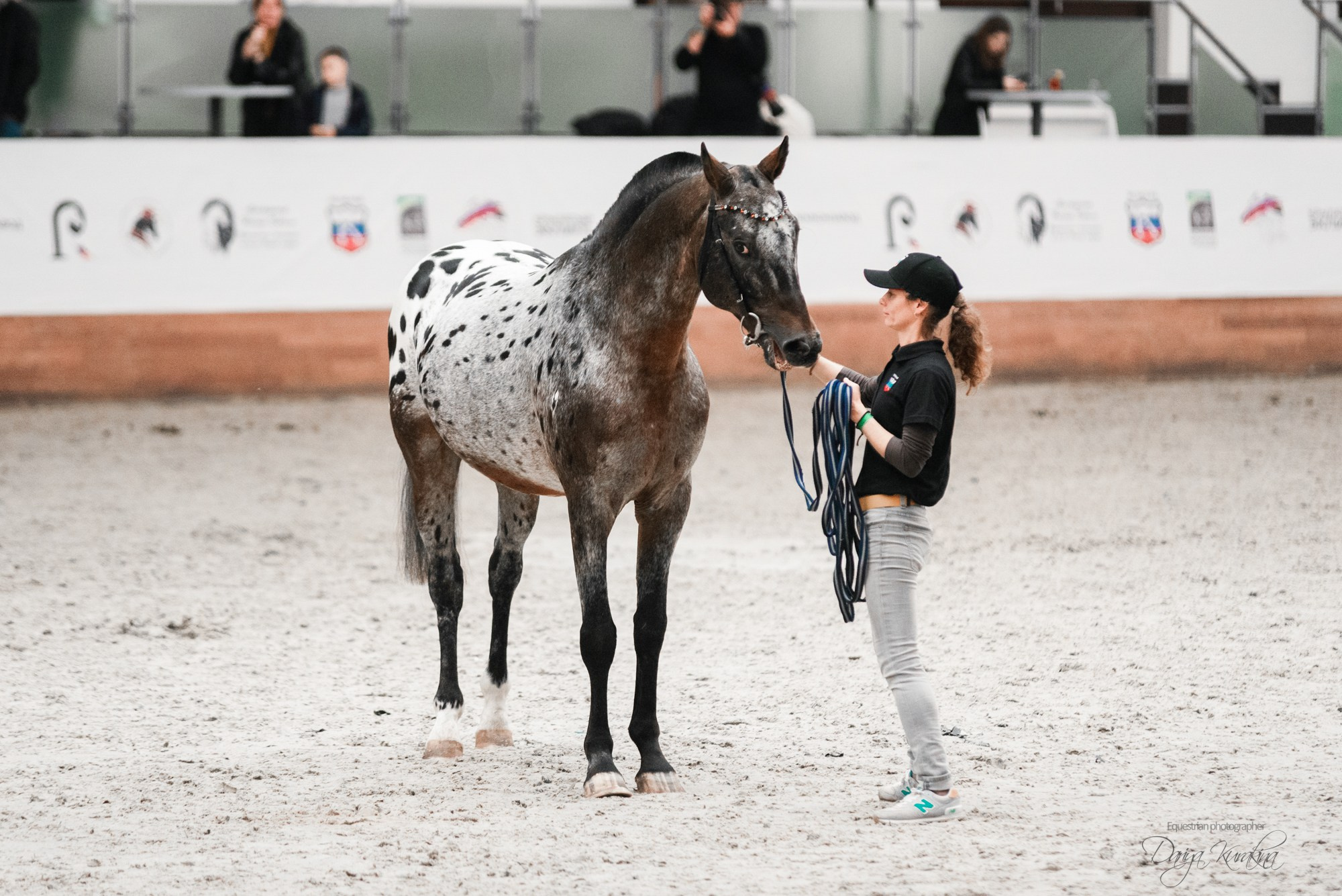 8-я международная выставка Конная Россия. Конный фотограф Куракина Дарья • Фотосессии с лошадьми