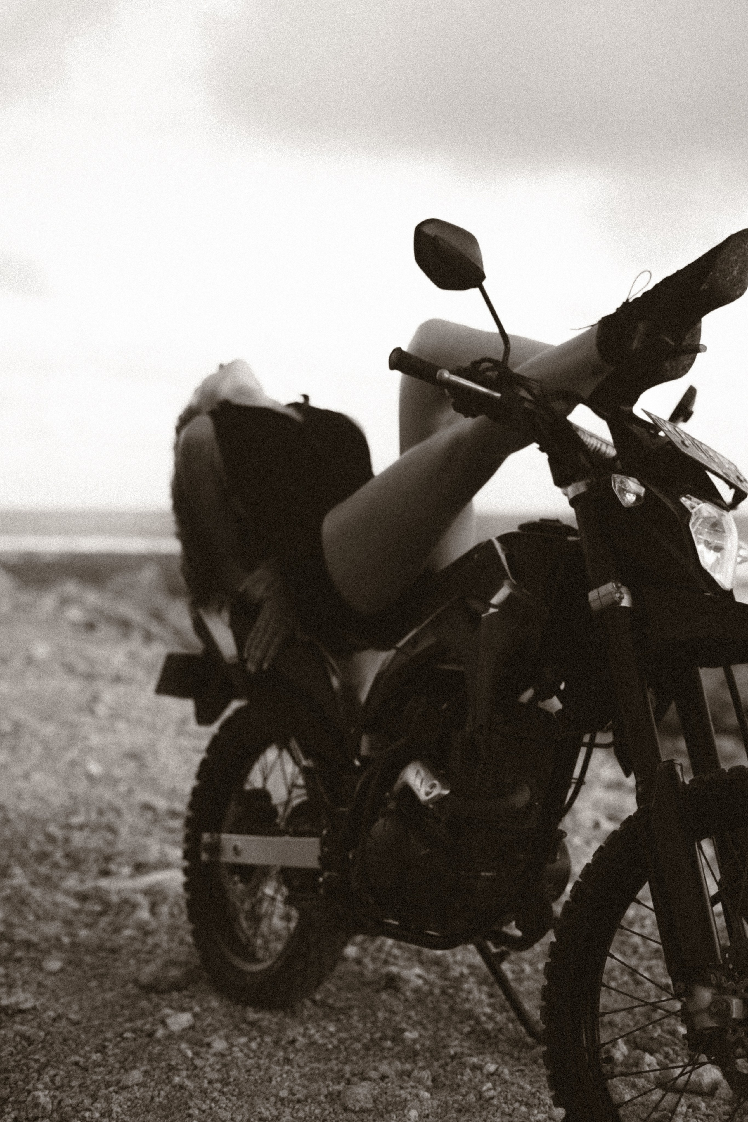 Katia. Alena Gribkova