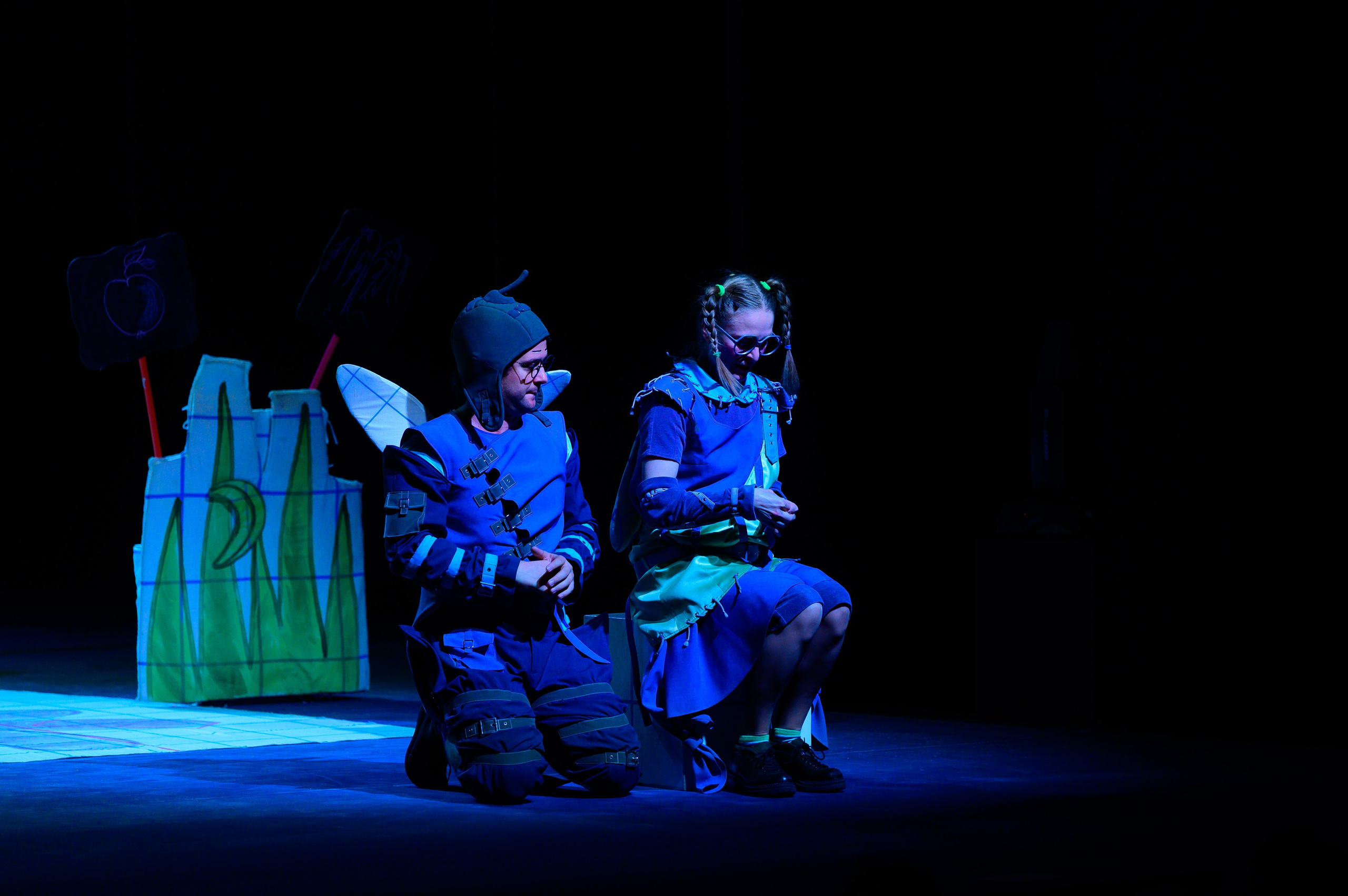 Муха Цокотуха. Фотоуслуги, услуги фотографа, фотографирование важных событий