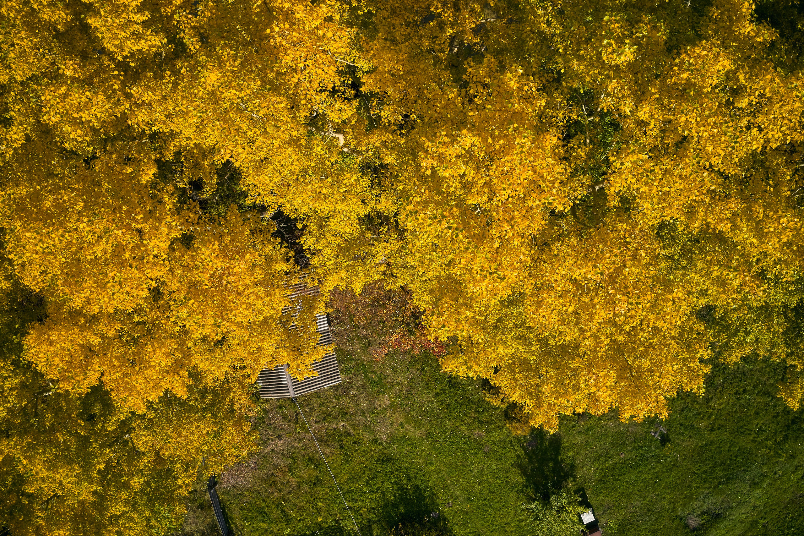 Съемка в полете. DMITRY MOISEENKO — фотограф, художник, топ-стилист