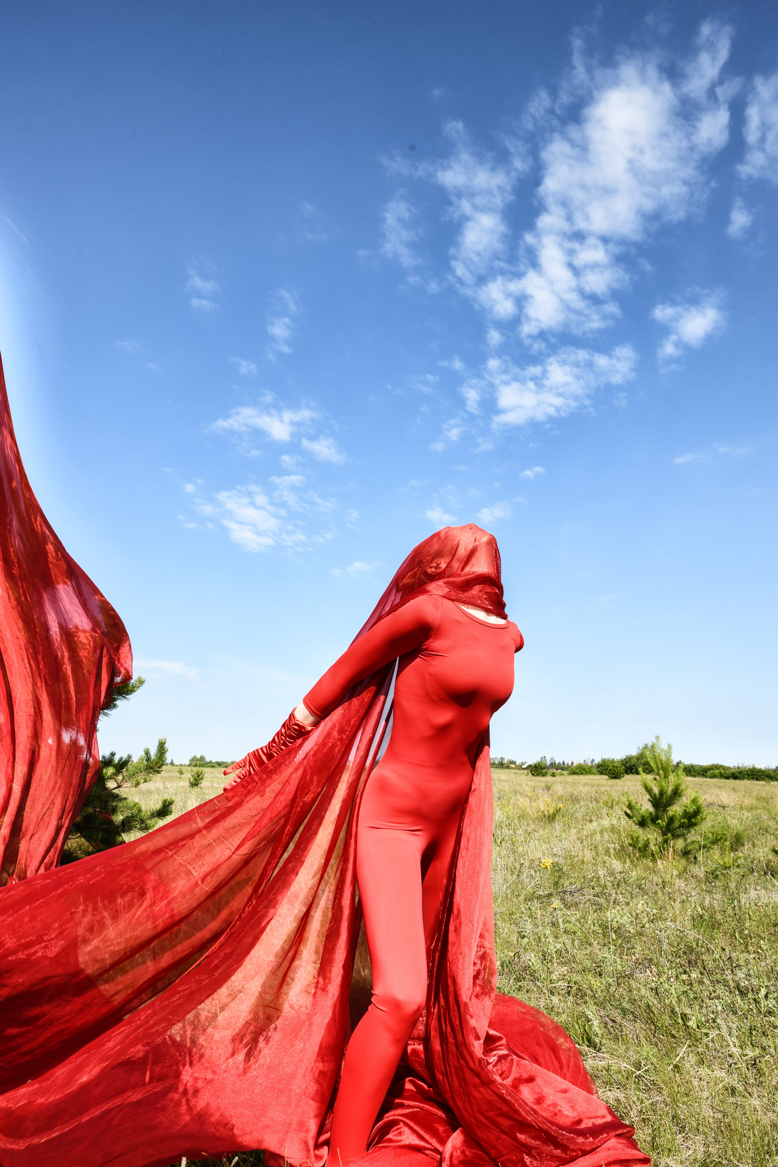 TERRA NOSTRA. Yulia Yurchevskaya | Art Director & Visual Visionary