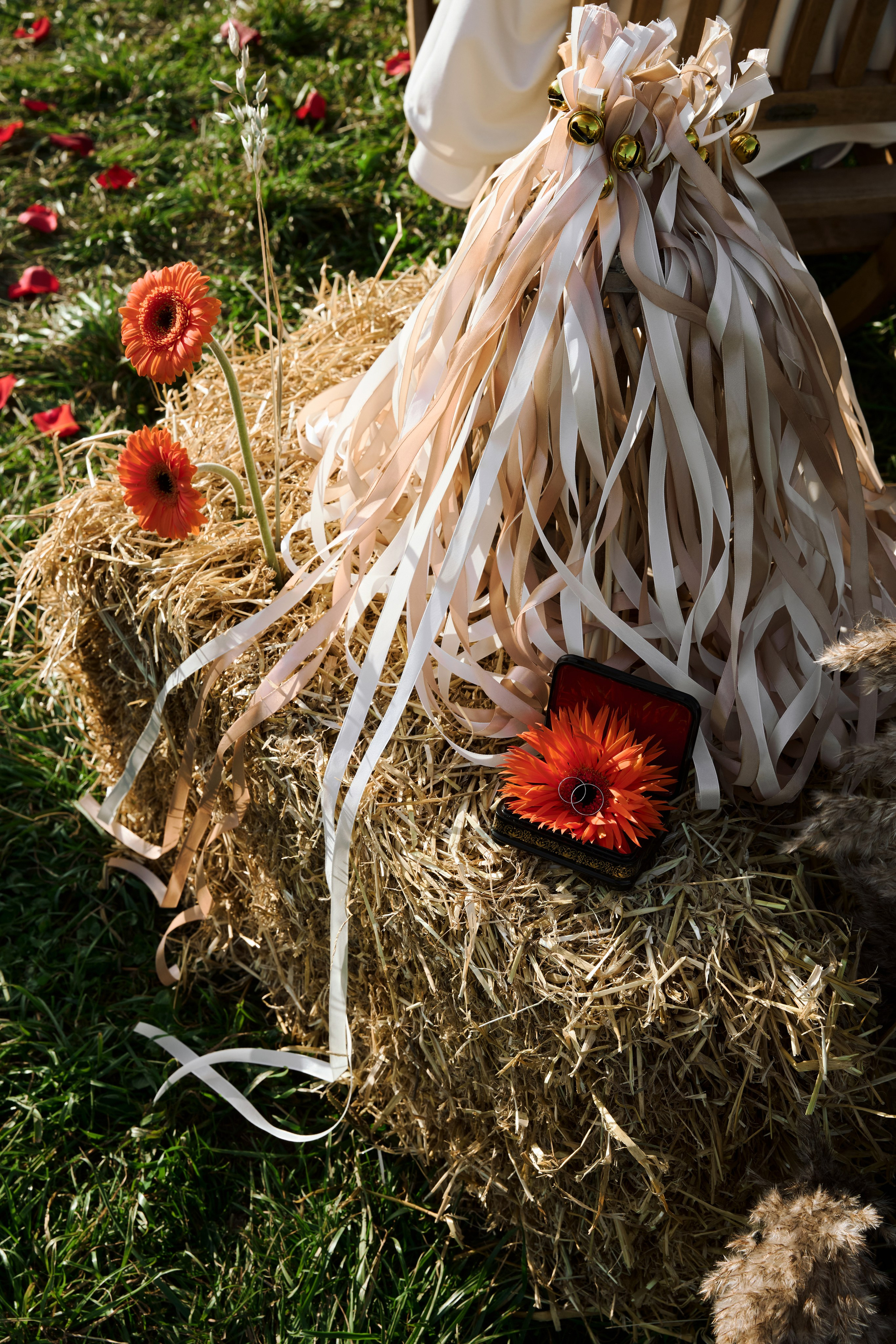 I & E. Anastasia Jes