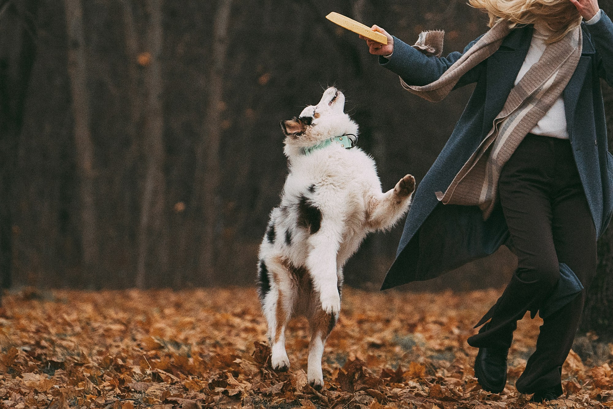 Лиза и Бублик. Фотограф анималист в Москве и Санкт-Петербурге Свиридова Анна