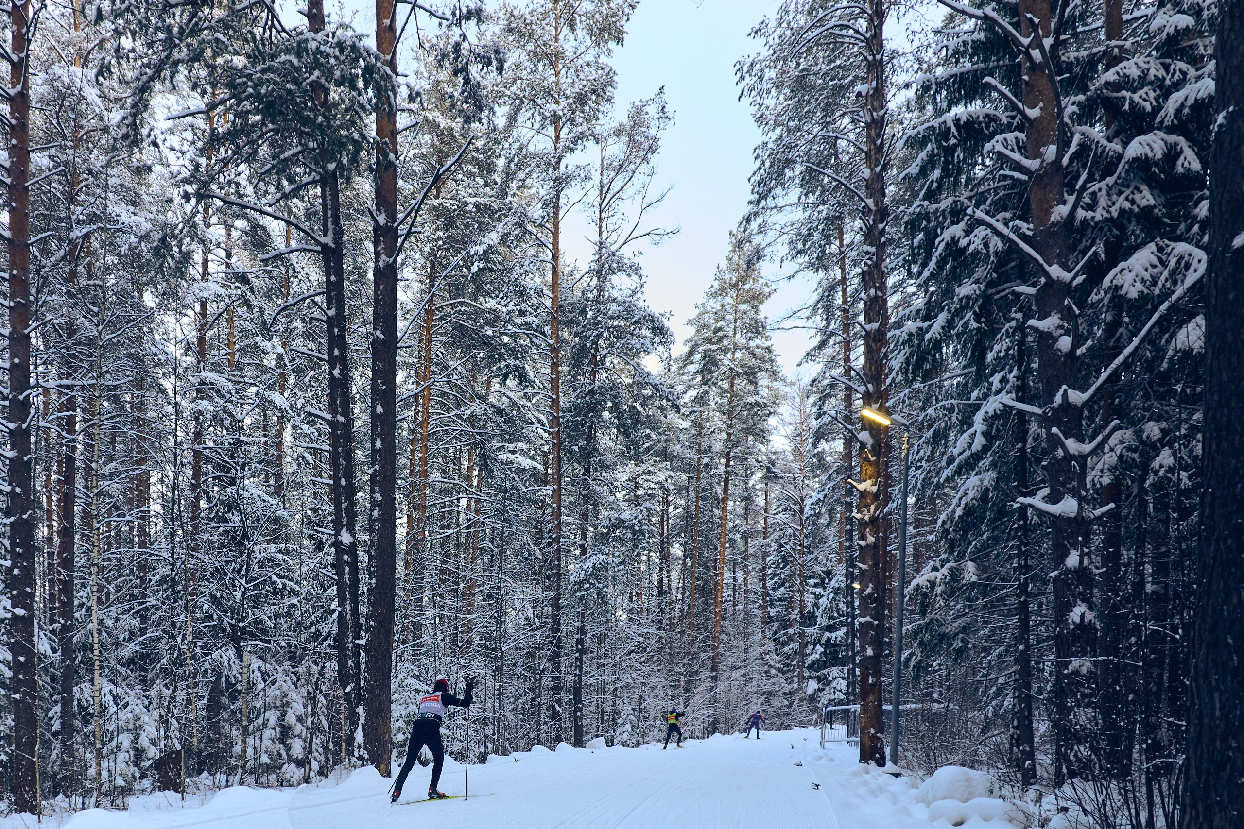 Биатлон. Чемпионат России — 2024/2025, 3-й этап, Ижевск. Спринт. Мужчины. Спортивный репортажный фотограф в Ижевске Сергей Мерзляков
