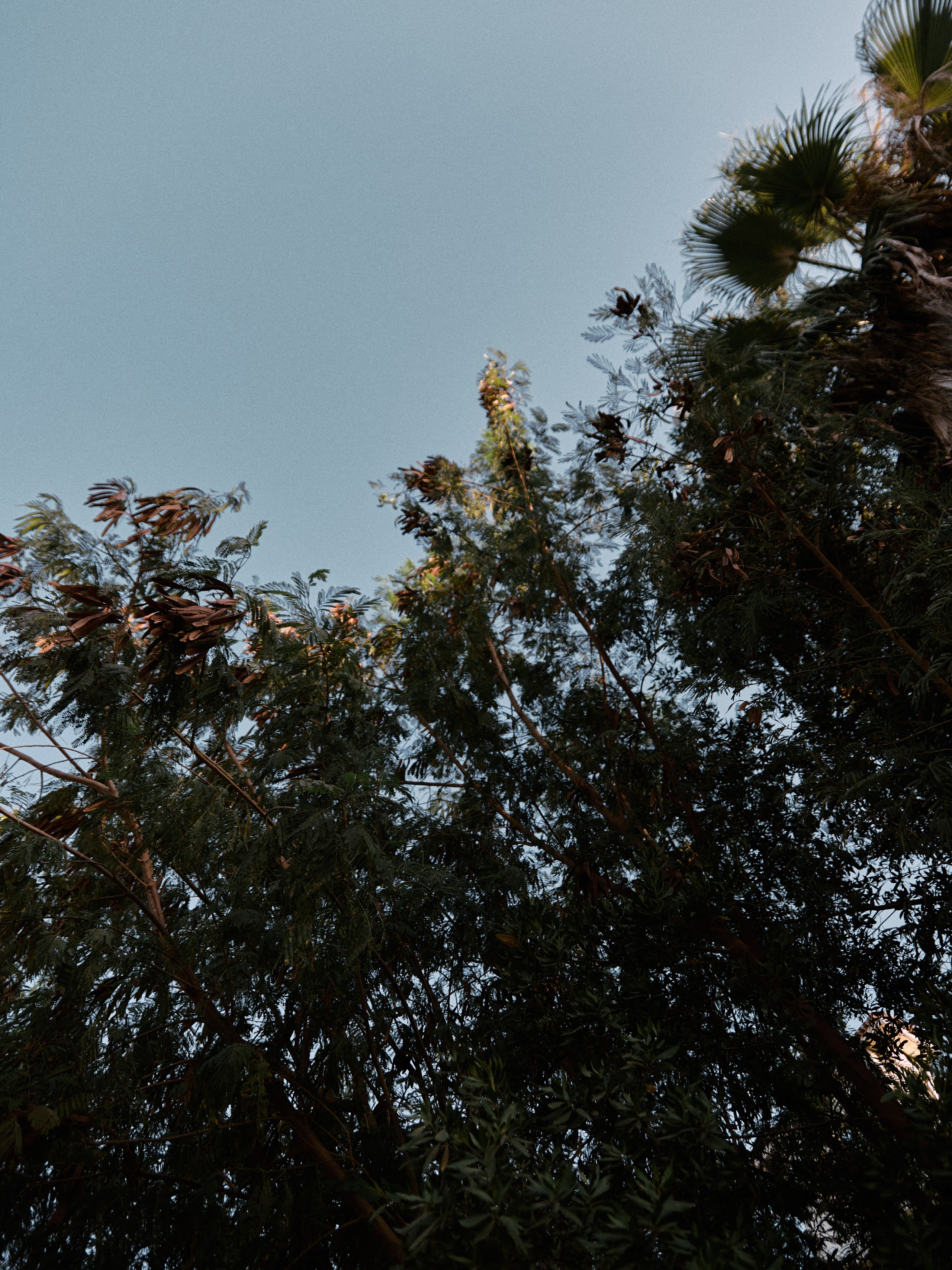 Диптих. Jorgis — фотограф в Хургаде / обучение фотографии