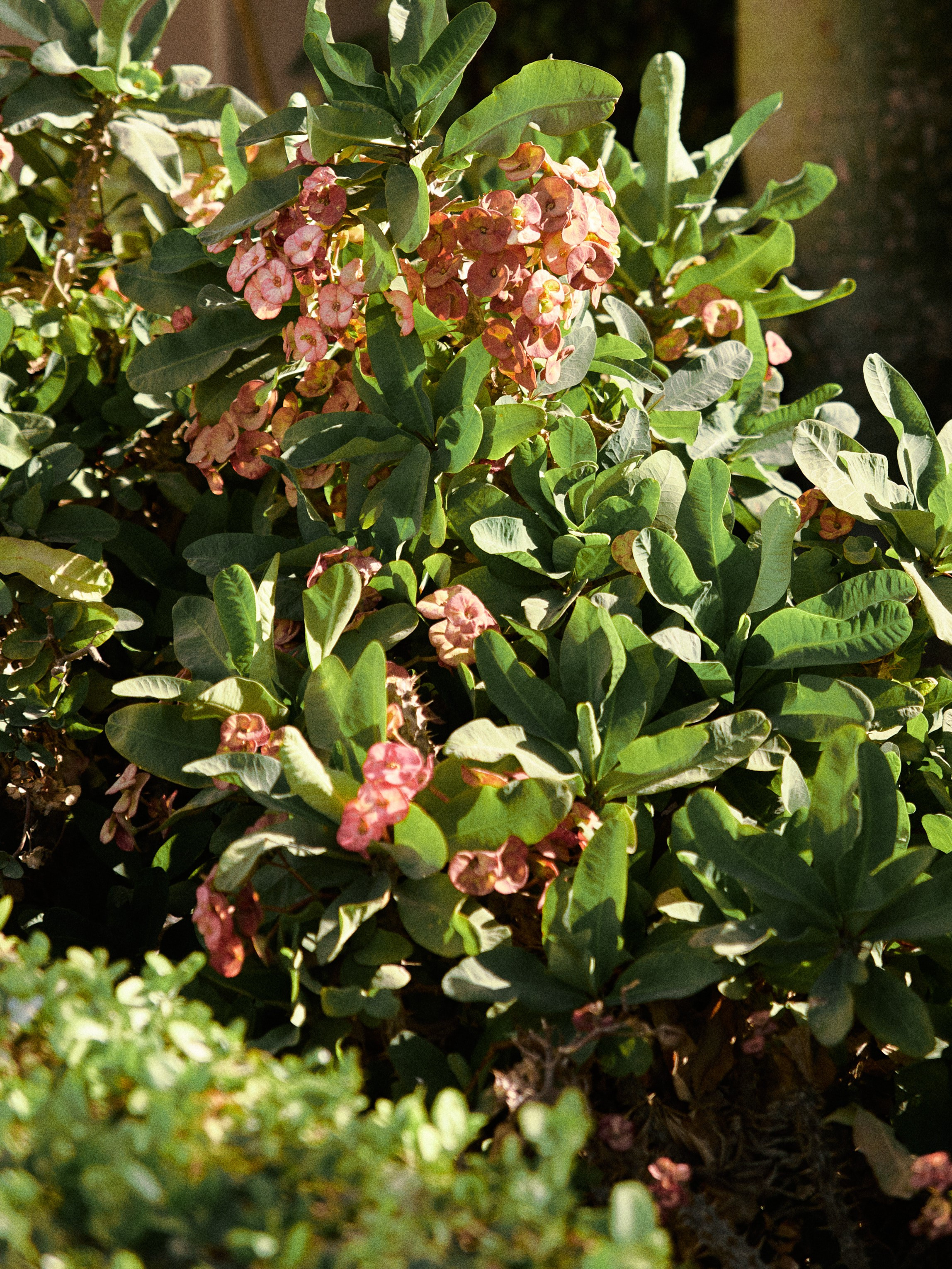 Природа. Jorgis Talè — photographer, kind person, teacher of arts and other mag