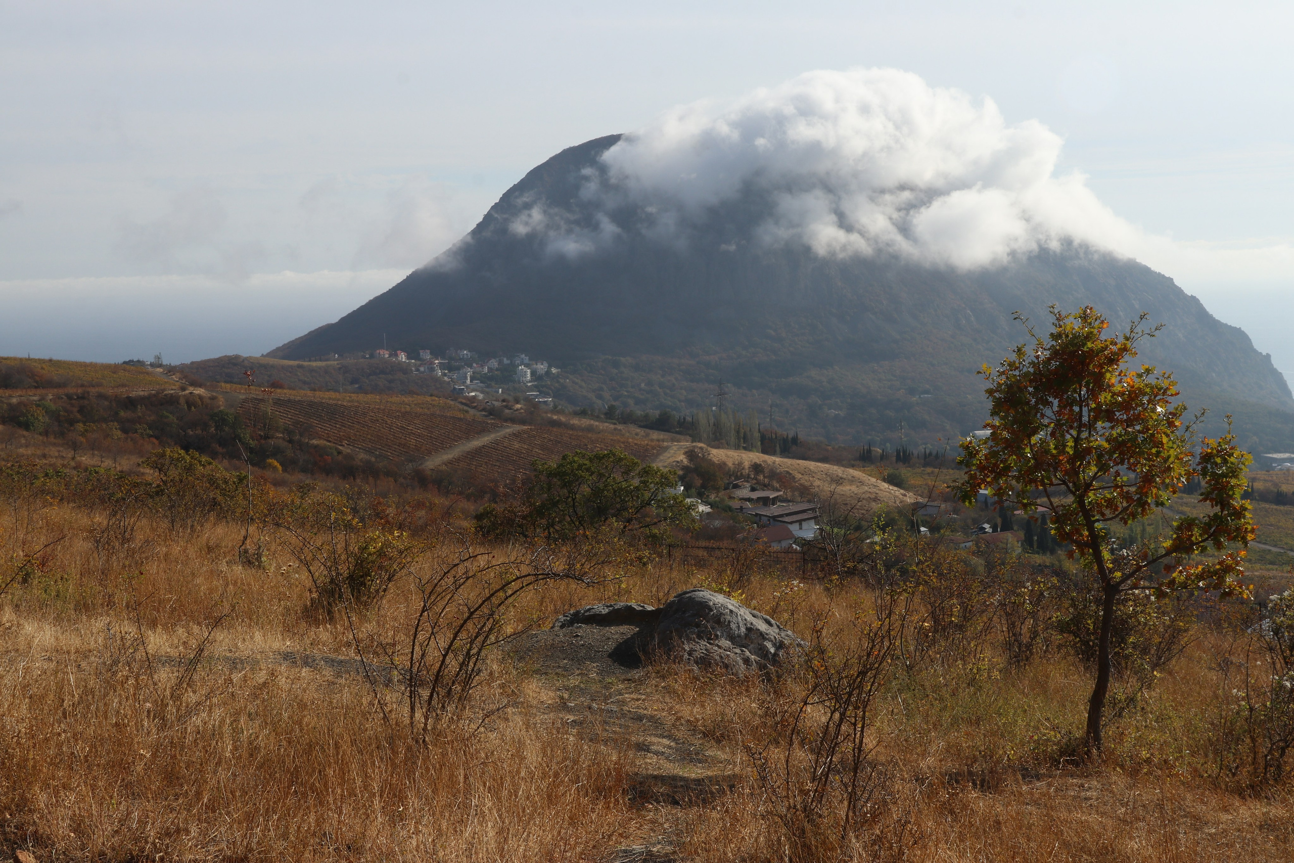 Крым. ЮБК (Гурзуф, Судак и их окрестности). Ноябрь 2023. Путешественник-фотограф из Санкт-Петербурга Татьяна Свистулина