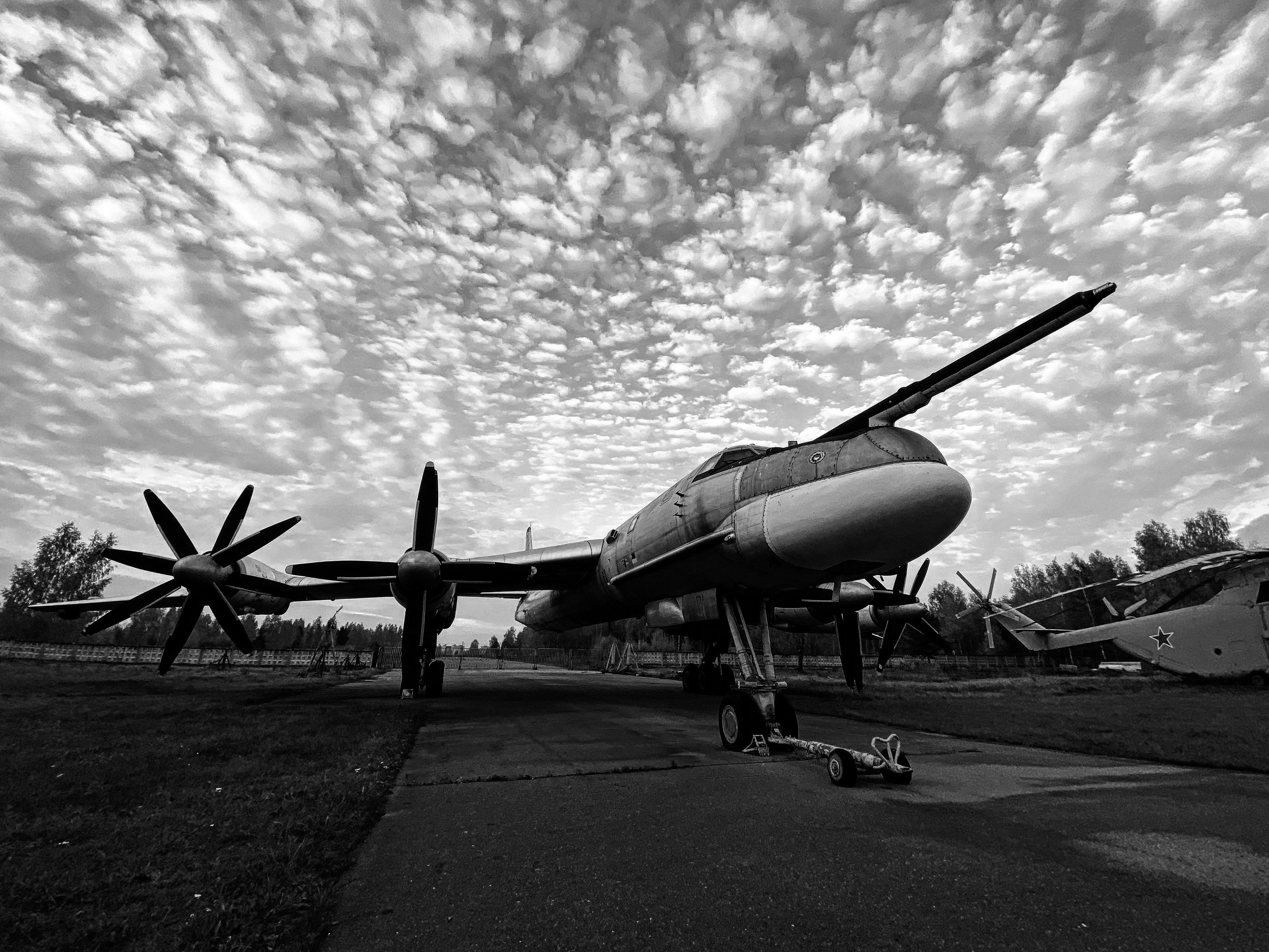 Работы с телефона. Свадебный фотограф в Москве Сафонова Анна