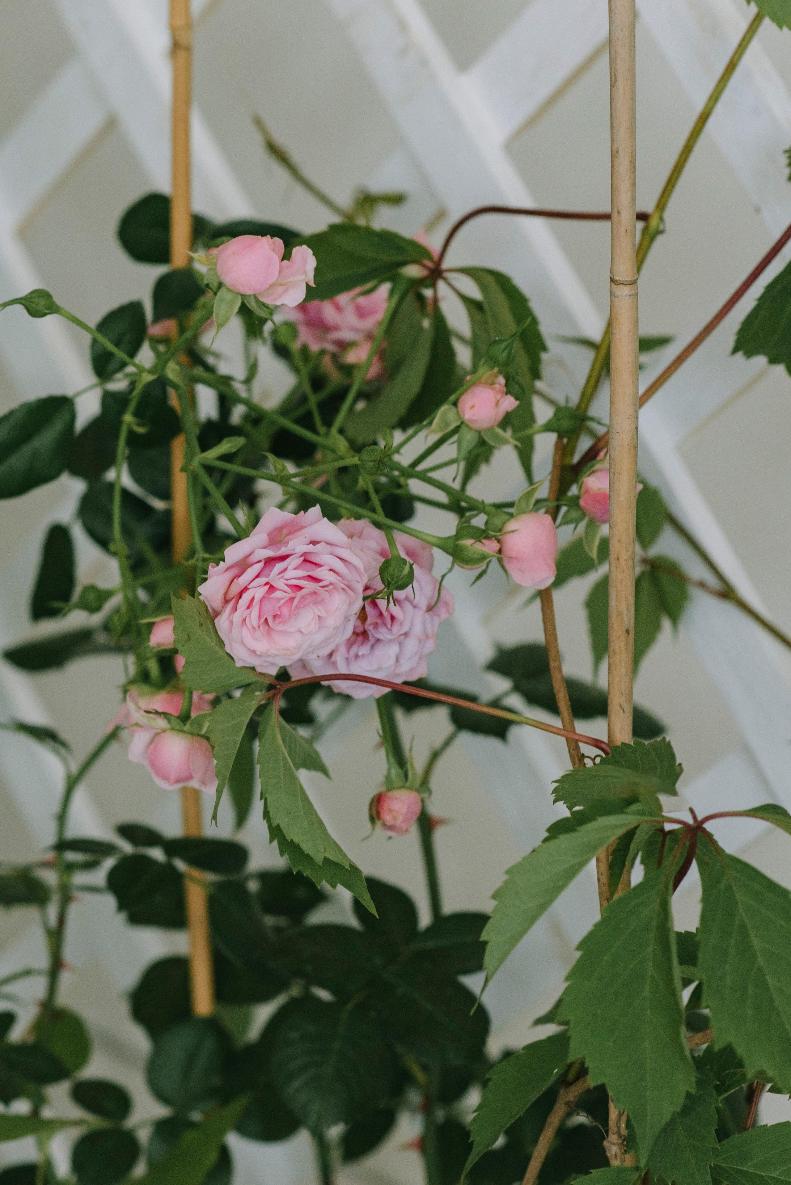 Ресторан Причал. Оформление свадеб, декор свадеб Вера Маркова, Москва