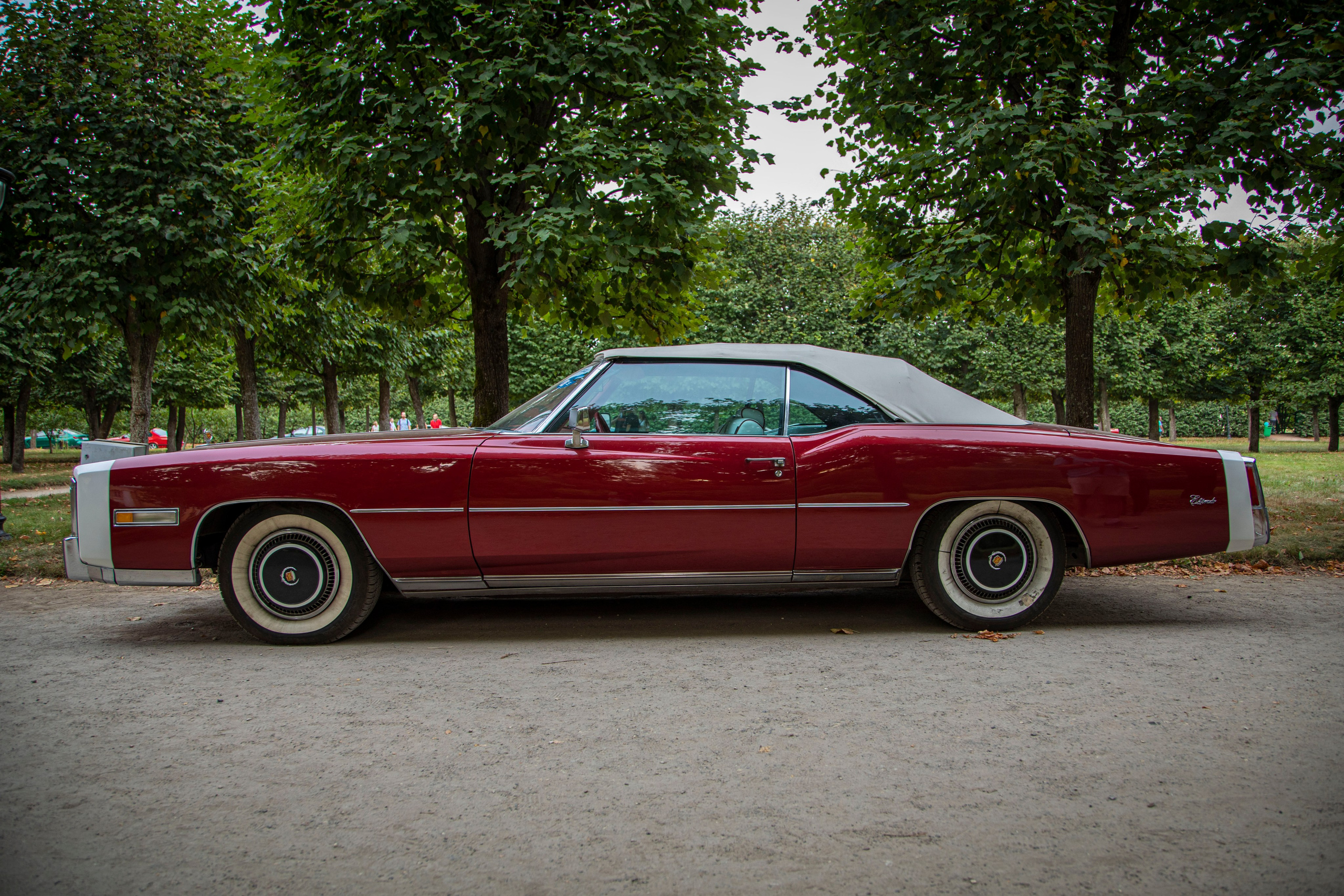 Про жизнь. Фотограф Сергей Ловкий