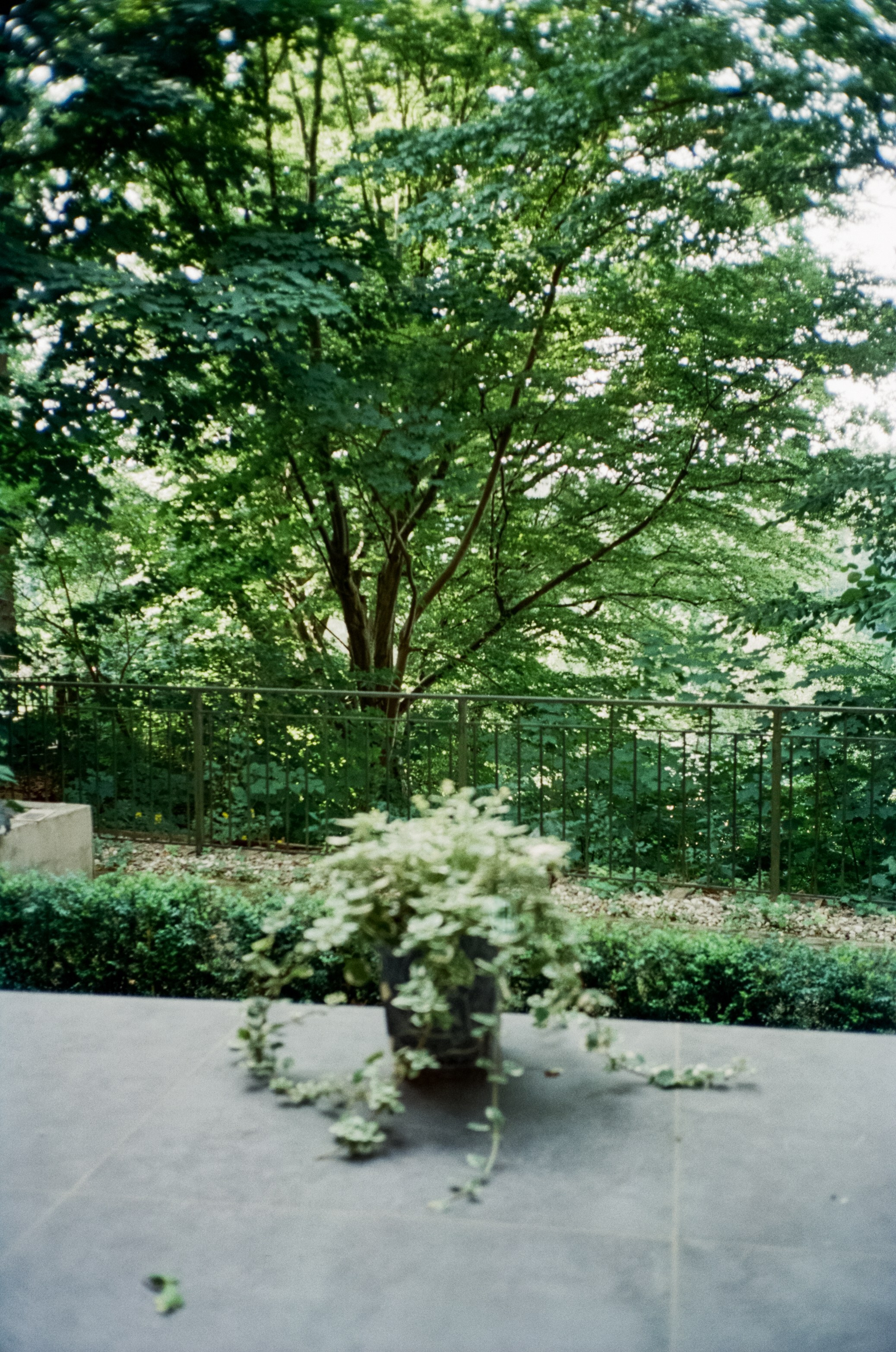 Тихое озеро и необыкновенный закат в Светлогорске. Фотограф-документалист Мария Осокина