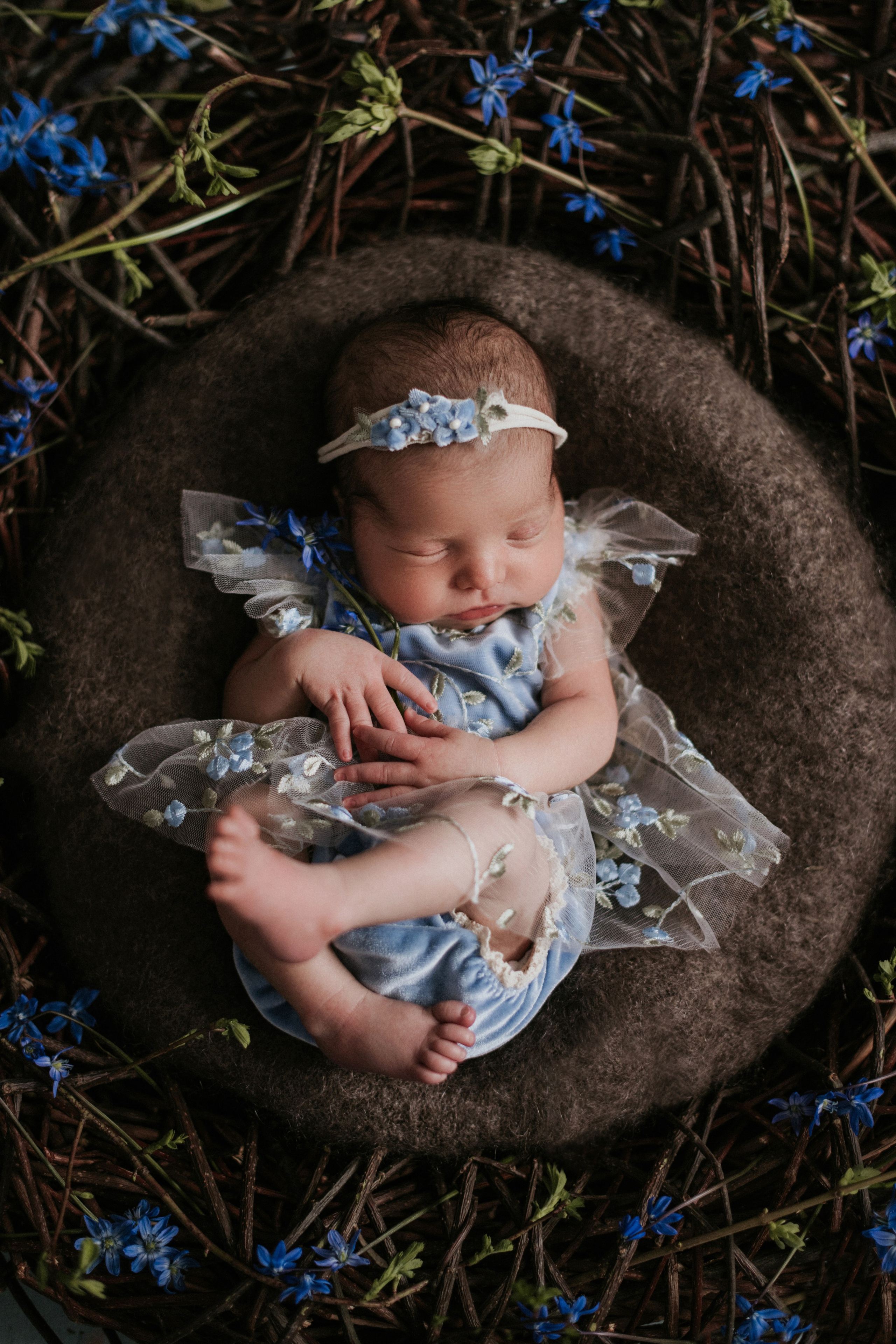 Младенцы. Семейный фотограф в Москве Полина Ситникова