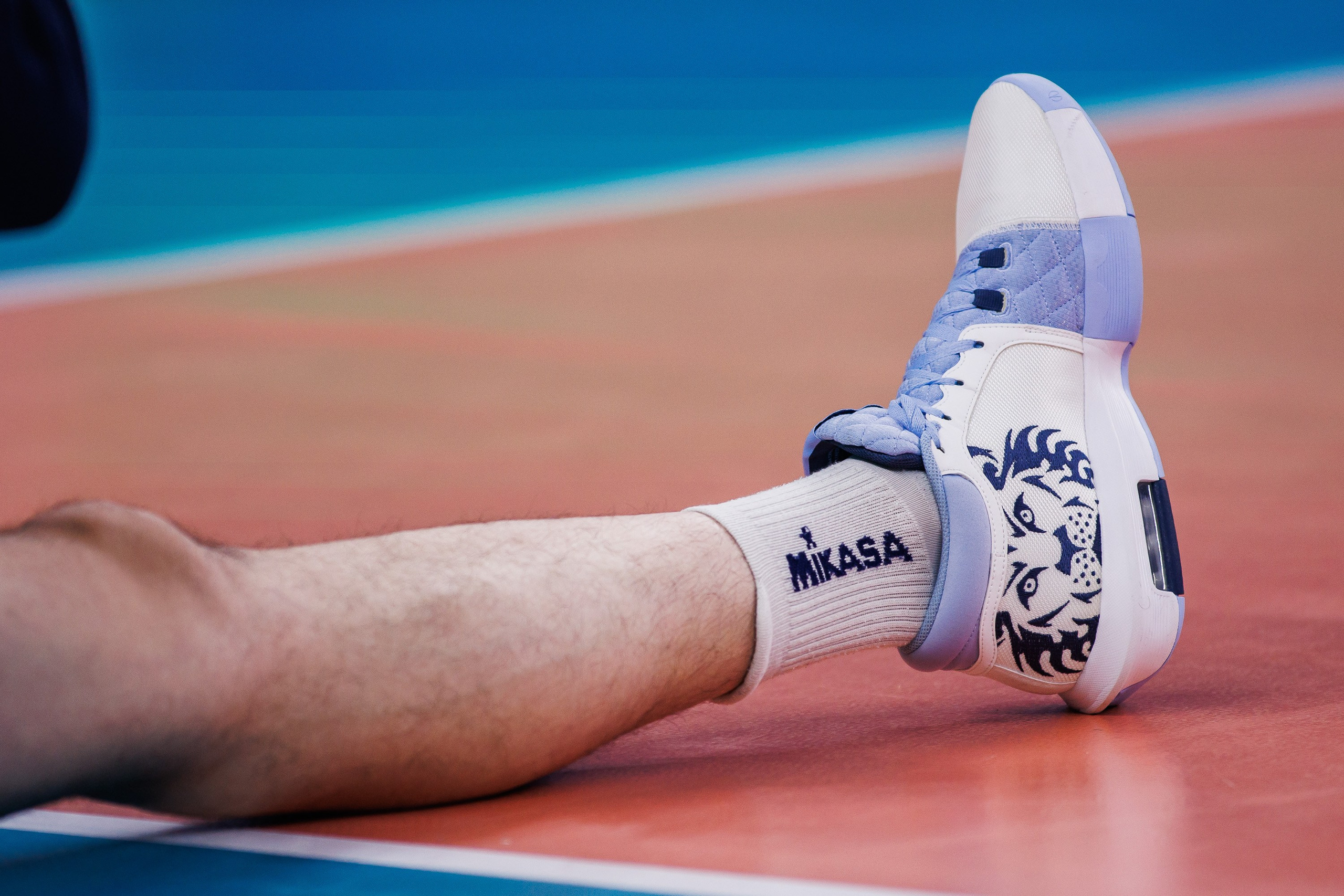 ВК Динамо 2025/26. Photographer Danil Aykin