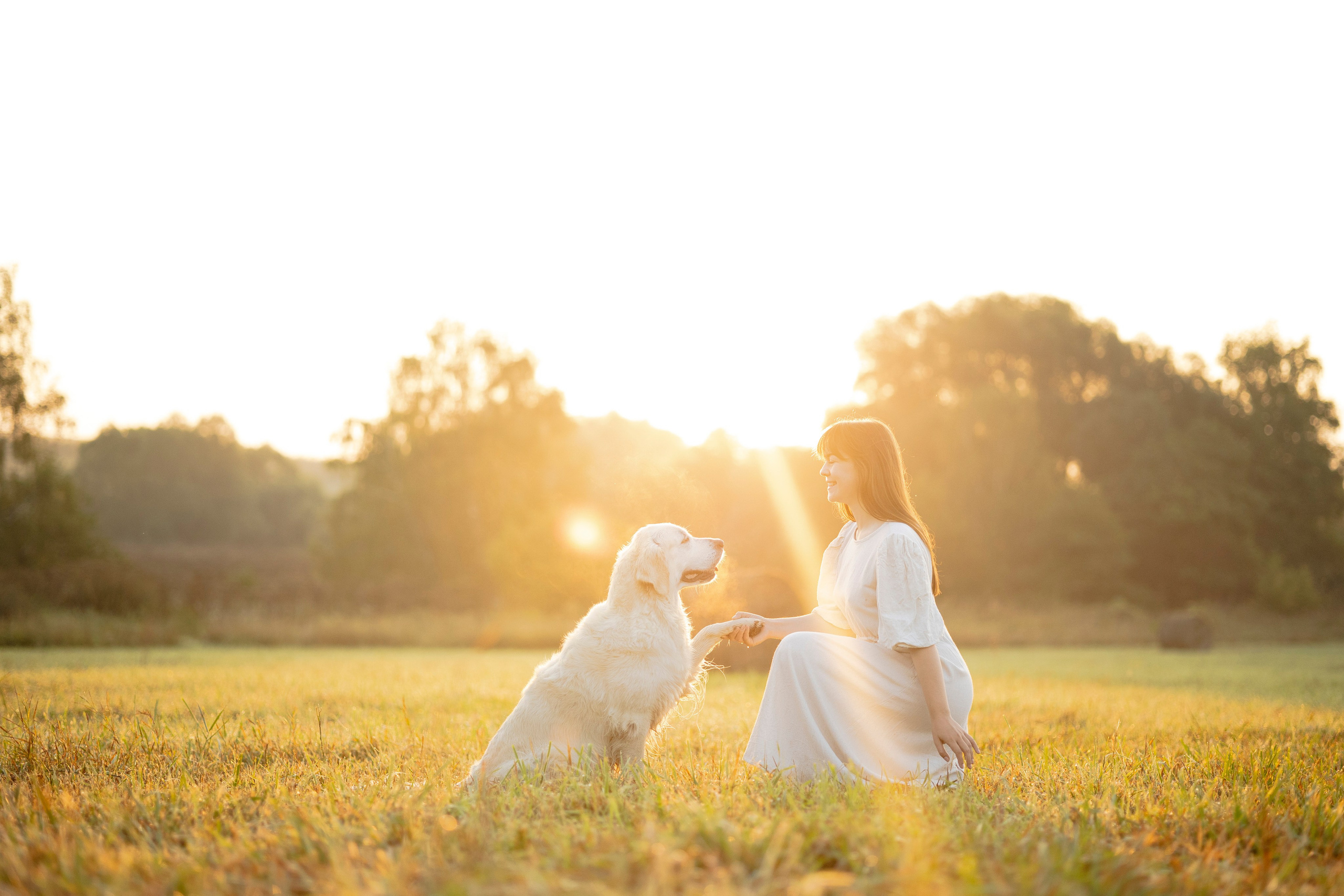 Рассветная съемка с собакой. Анастасия Белаш