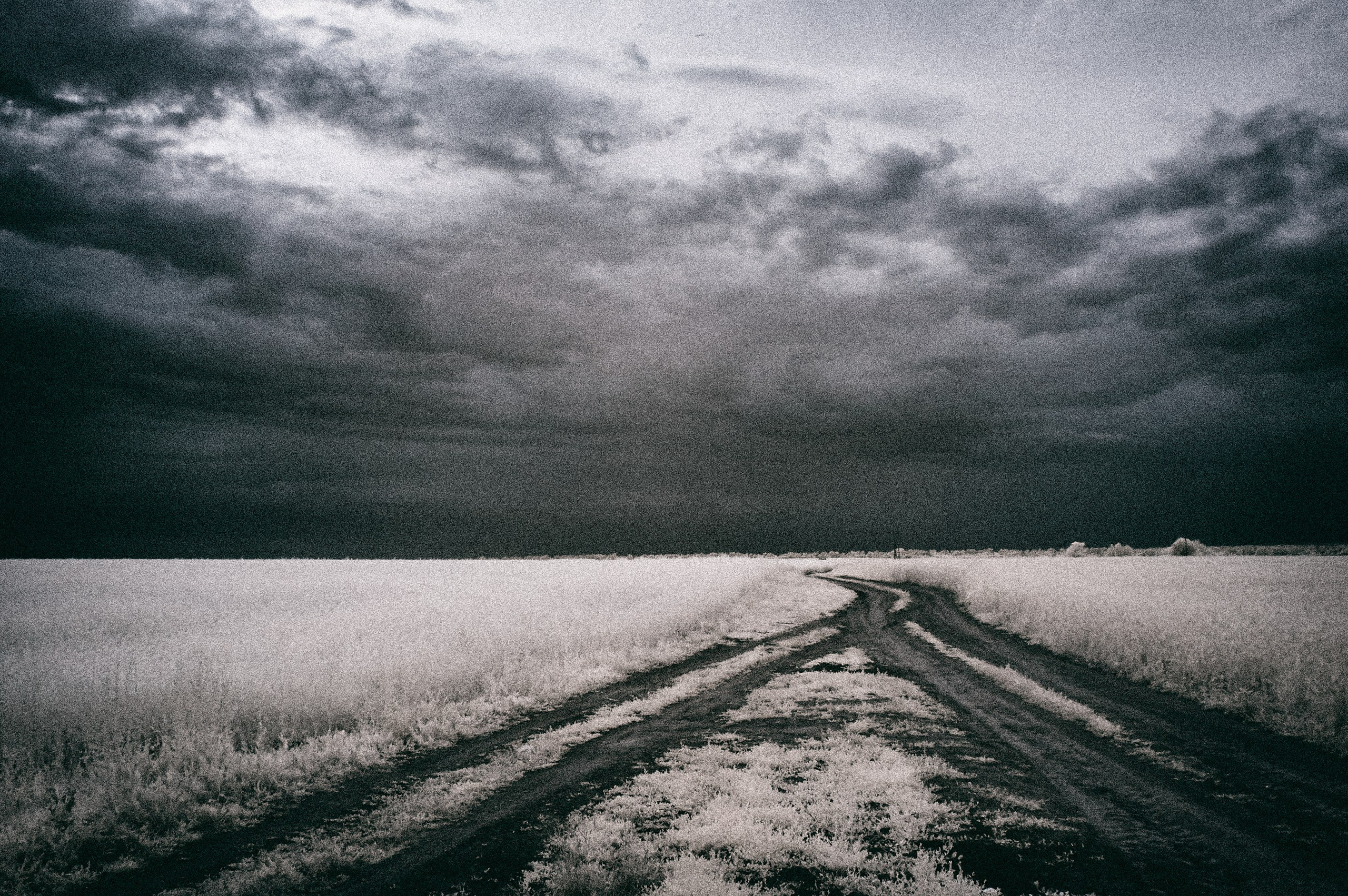 Infrared Photography. Solofilms