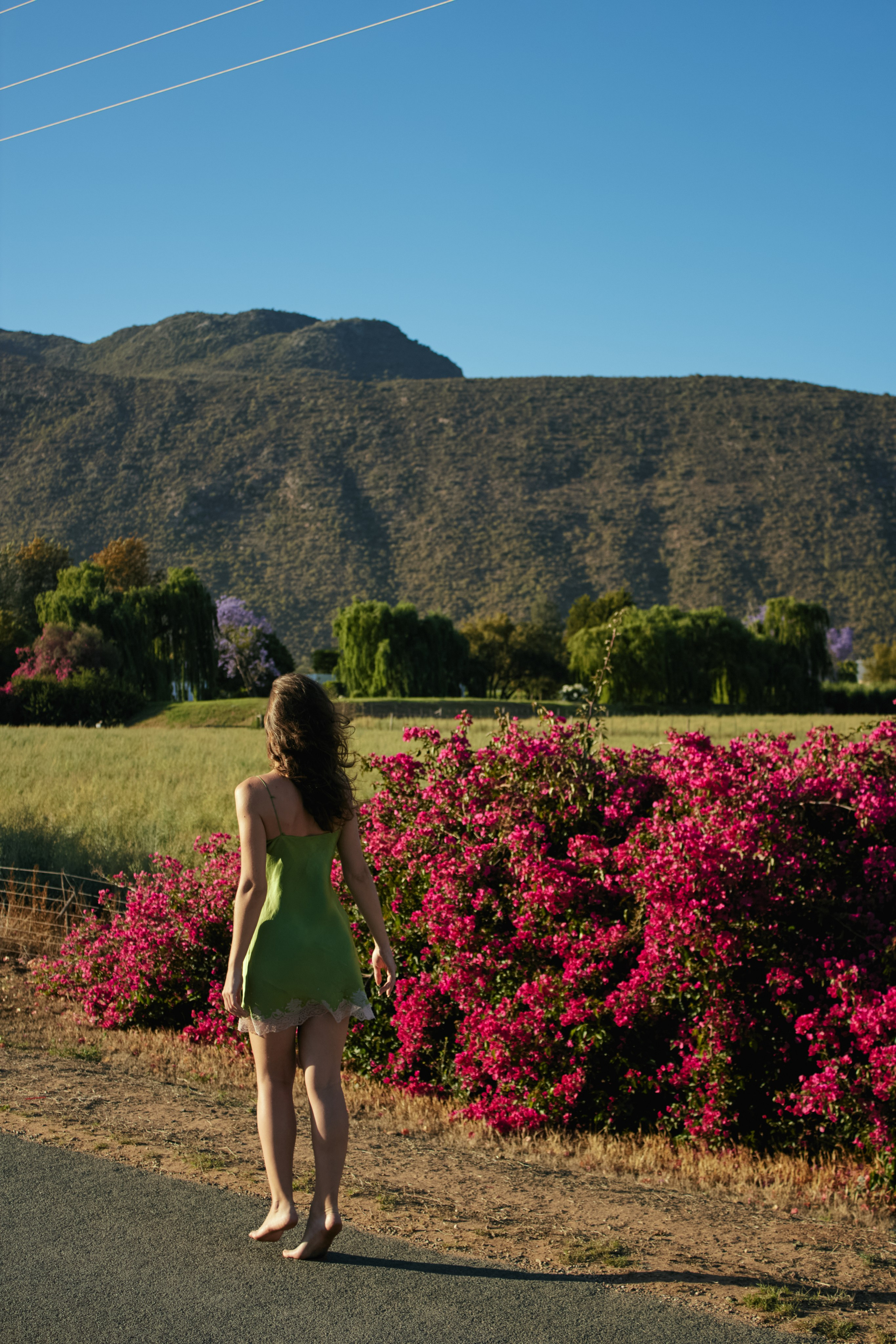 ЮАР. Профессиональный Фотограф во Владимире, в Москве и в Суздале — Полина Романычева