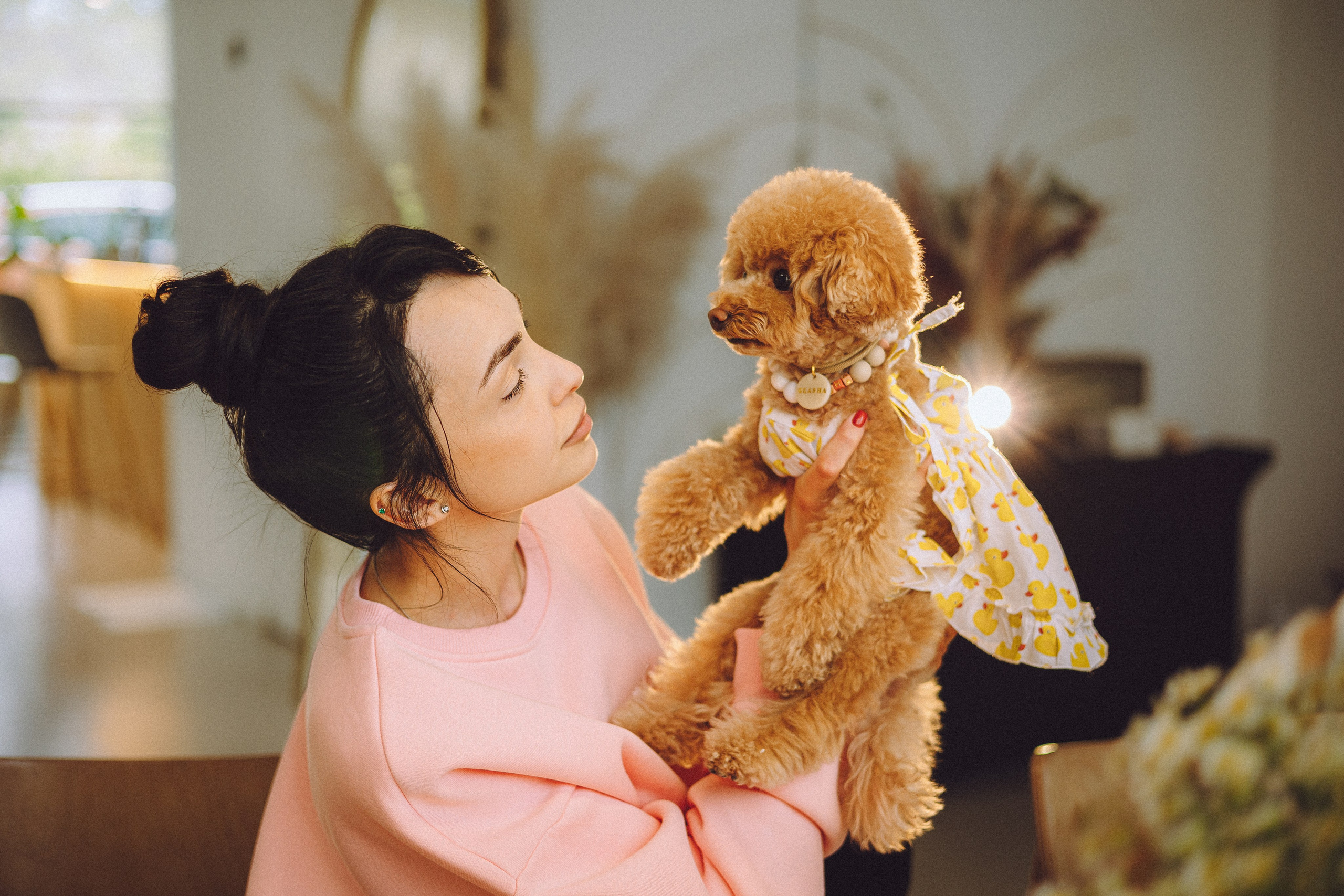 День Рождения пуделя Глаши