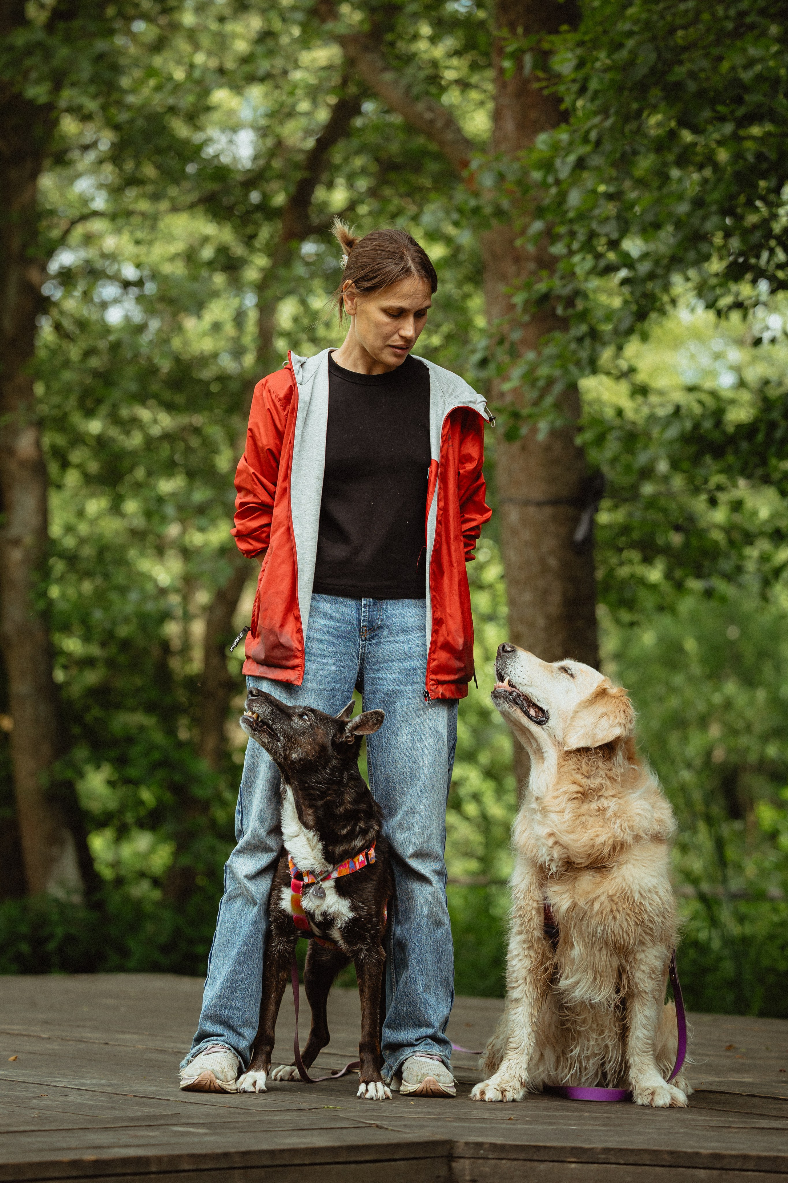 Выездной дог-тренинг от школы «Шерсть имею»