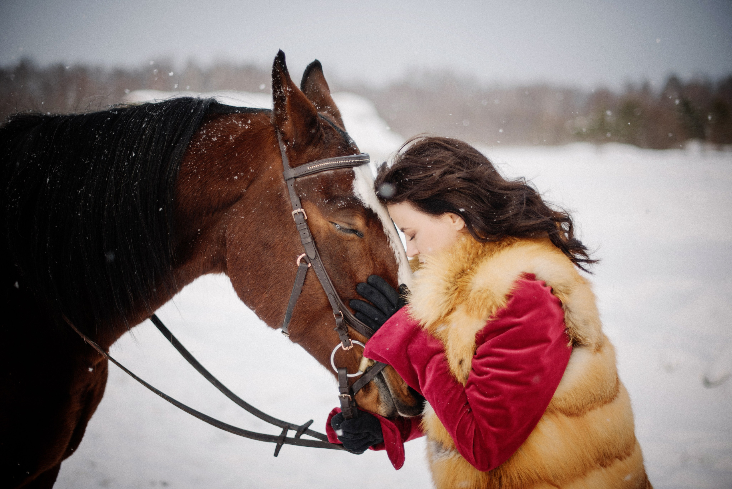 Фото СИМВОЛ ГОДА 2026 от Натальи. ФОТОПРОЕКТЫ