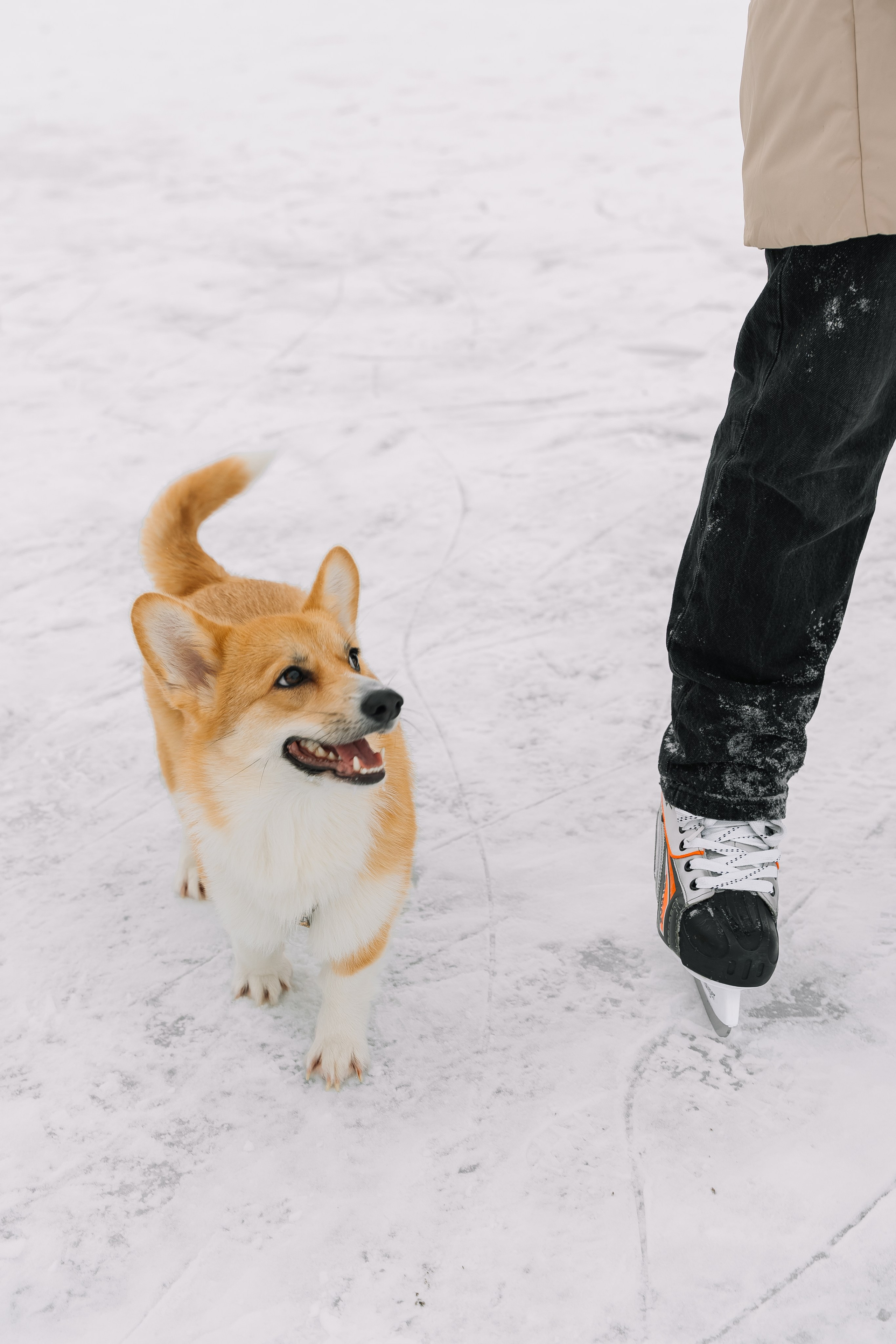 Зимние выходные. Свадебный Фотограф Минск || Фото и Видеосъёмка Минск || Другие города