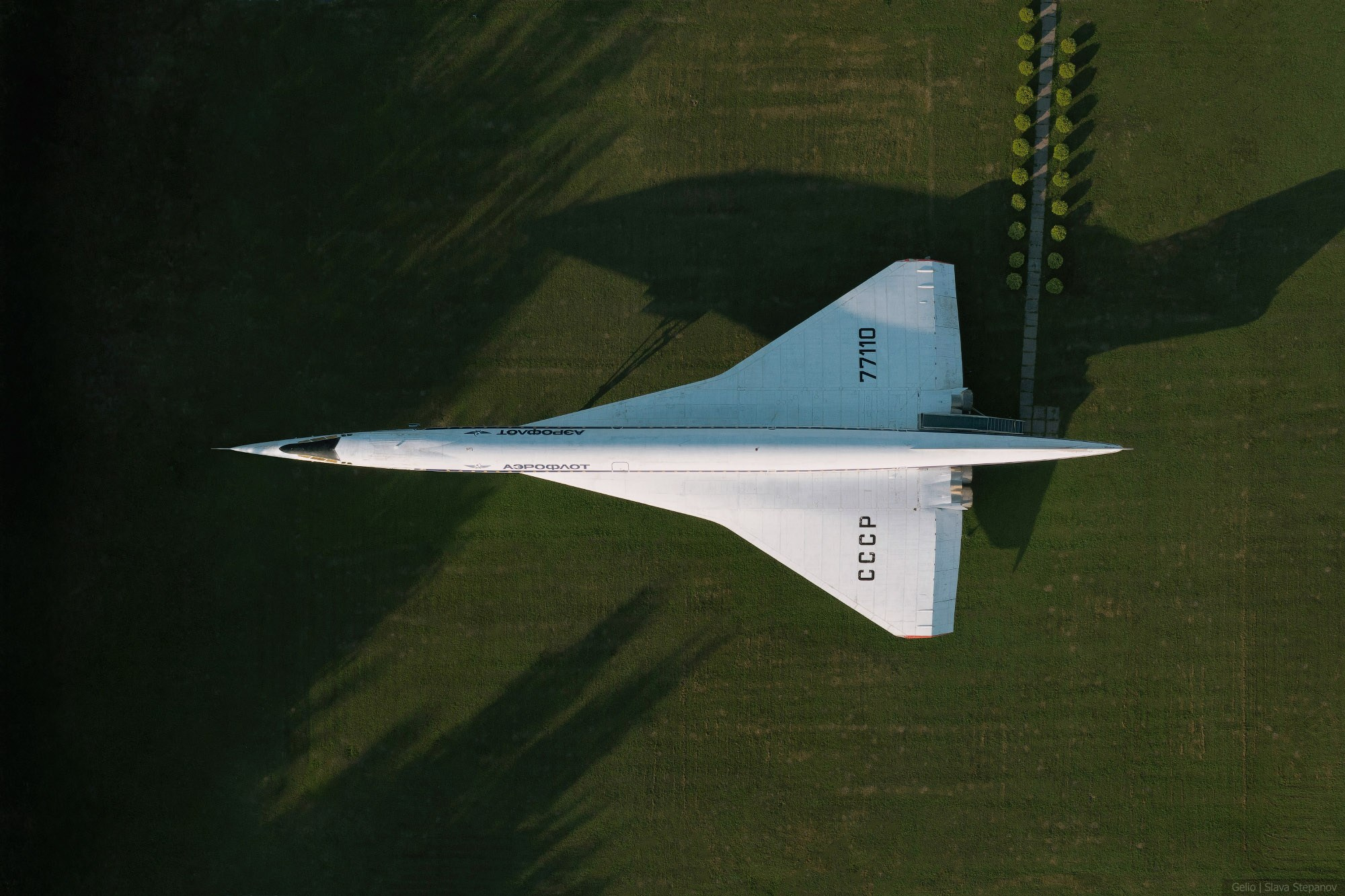 Аваиция. Фотограф Слава Степанов, Gelio