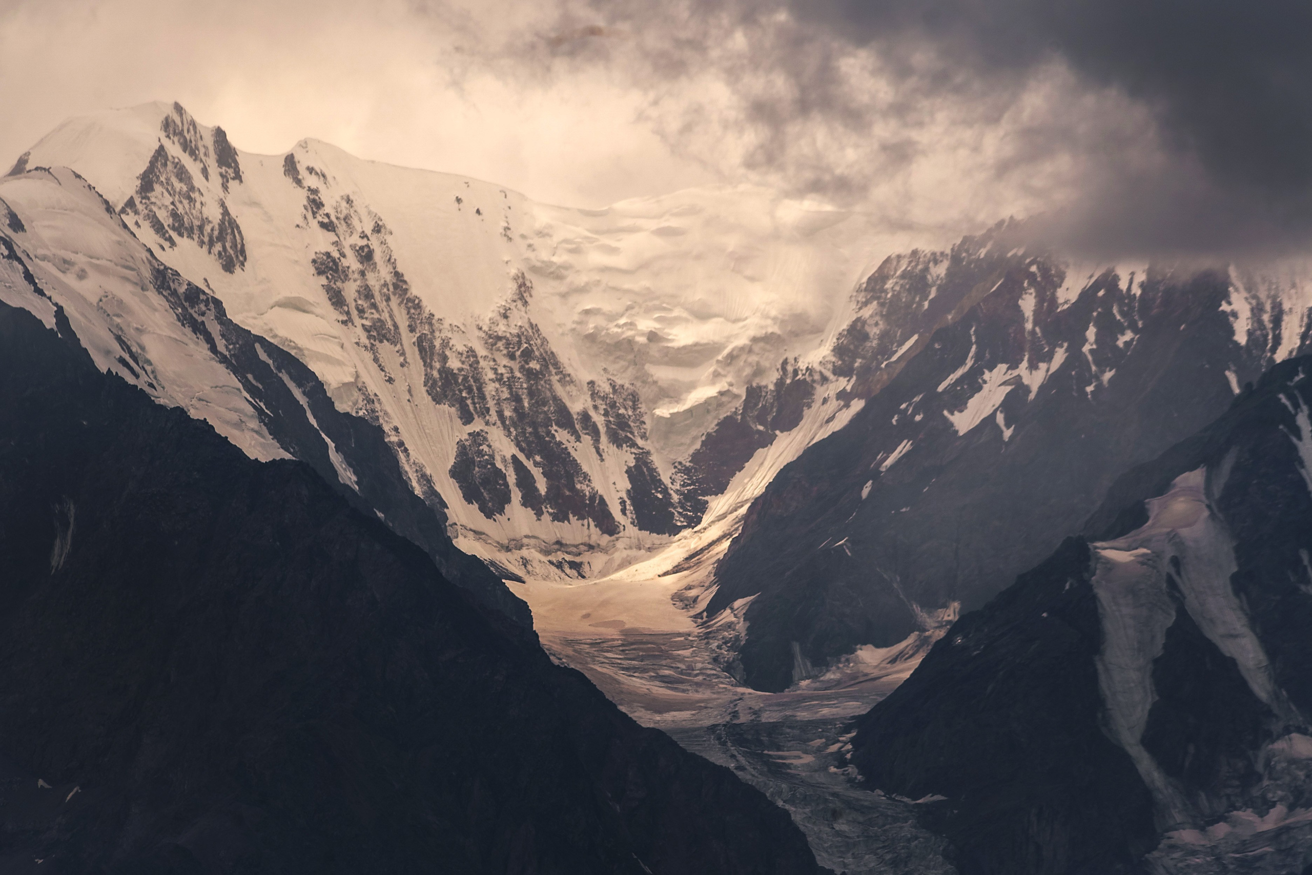 АЛТАЙ 2024 / ALTAI 2024. Главная