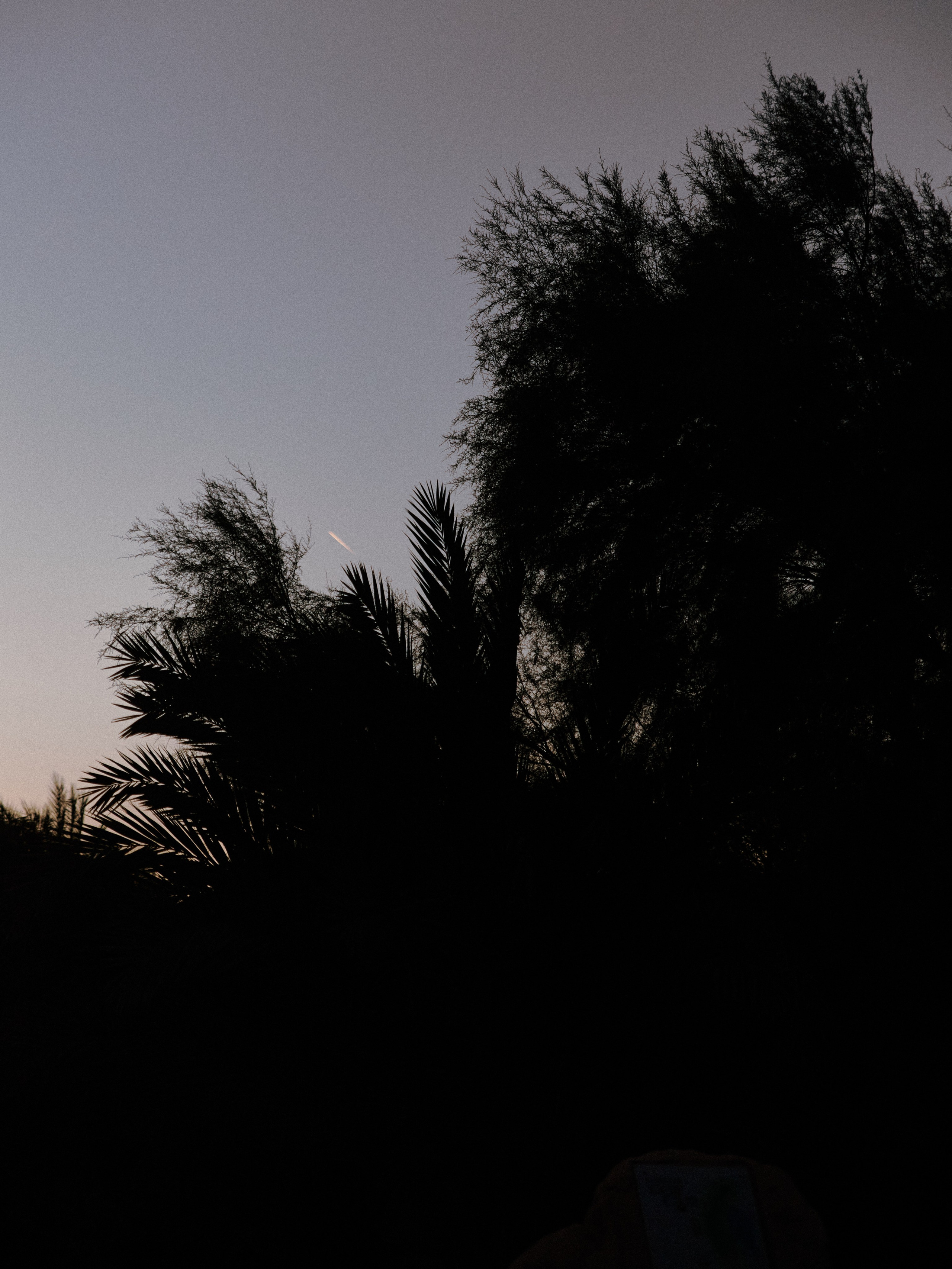 Диптих. Jorgis — фотограф в Хургаде / обучение фотографии