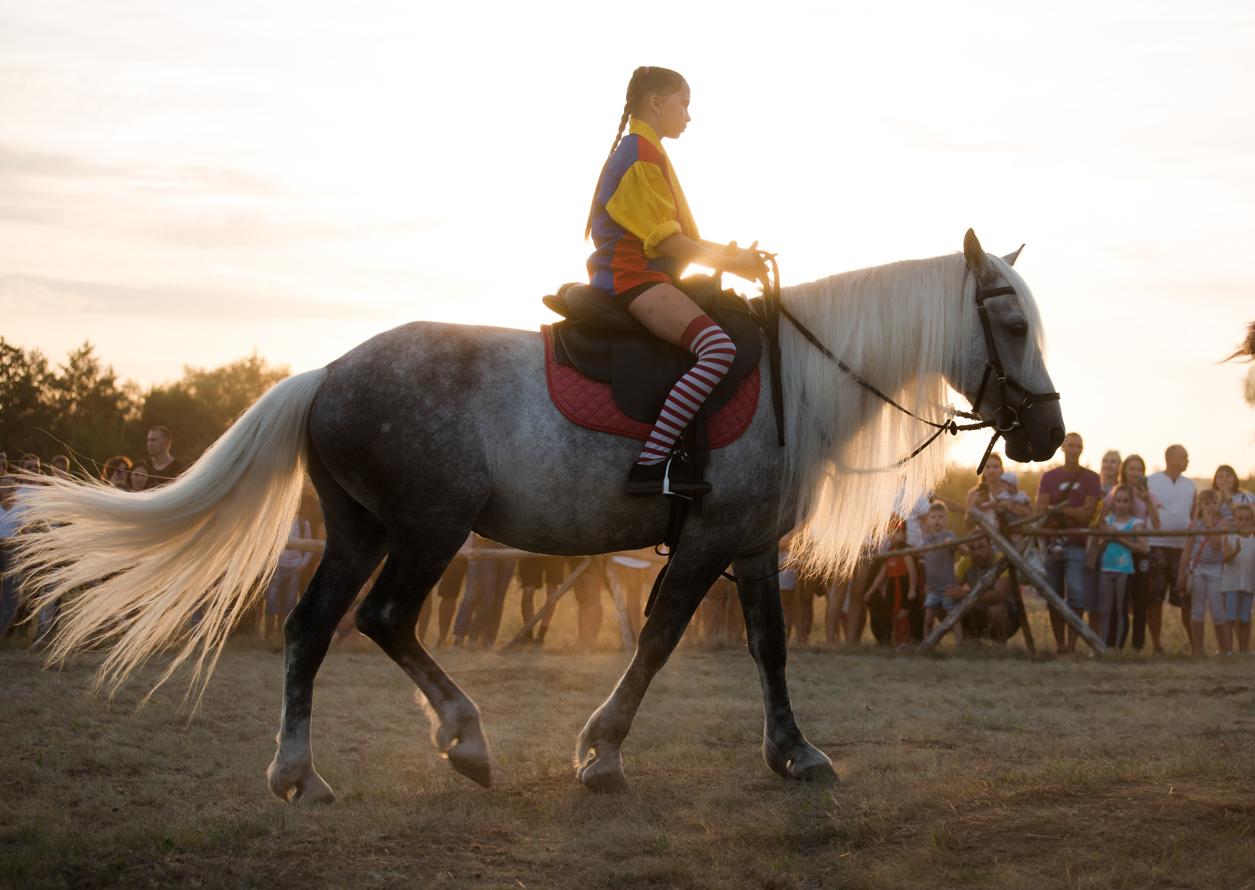 Карнавал Догвинтер. Конный фотограф в Саратове Юлия Иванова