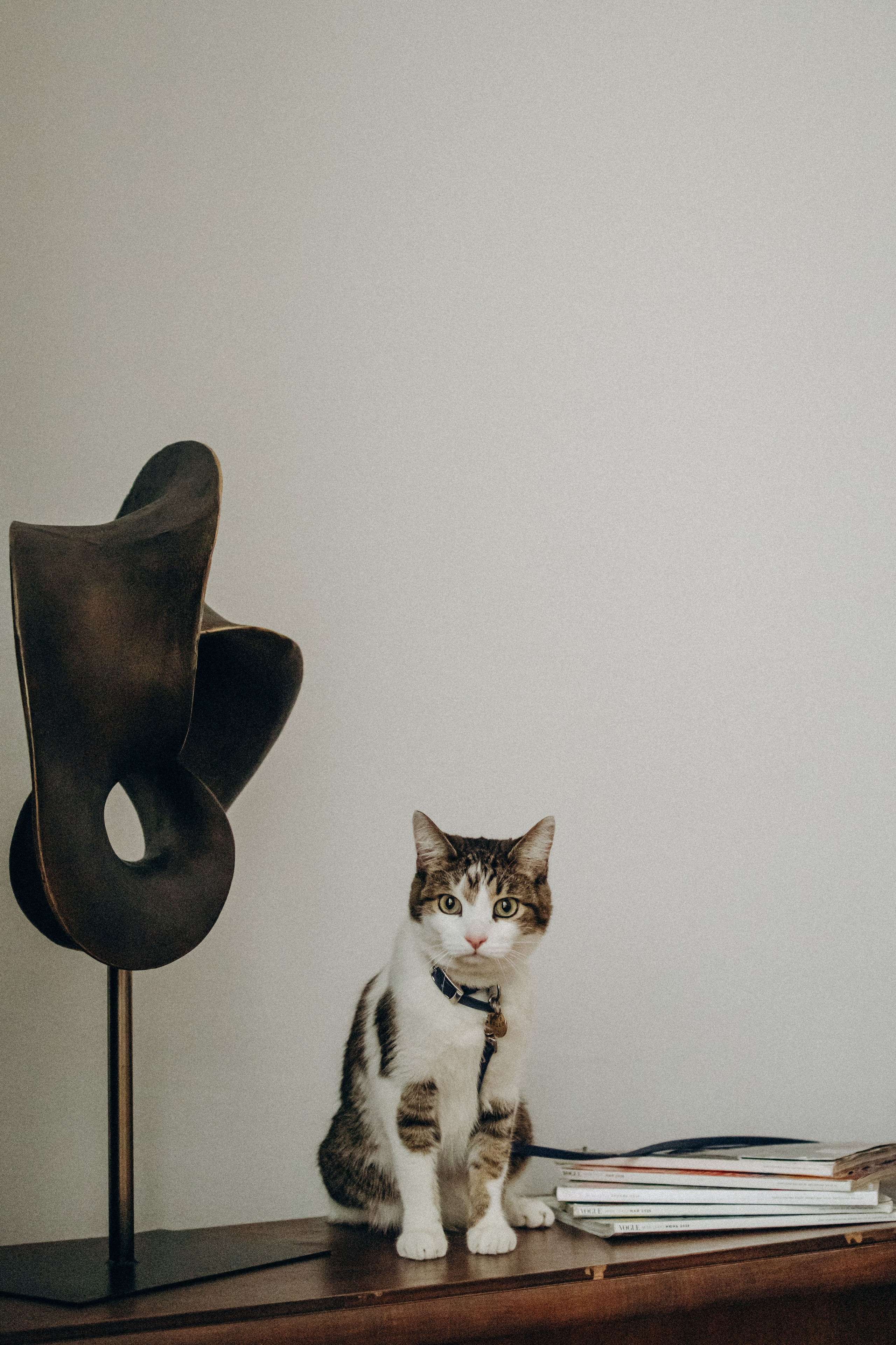 Ксюша и Яша. Фотораф — анималист Мария Шистка