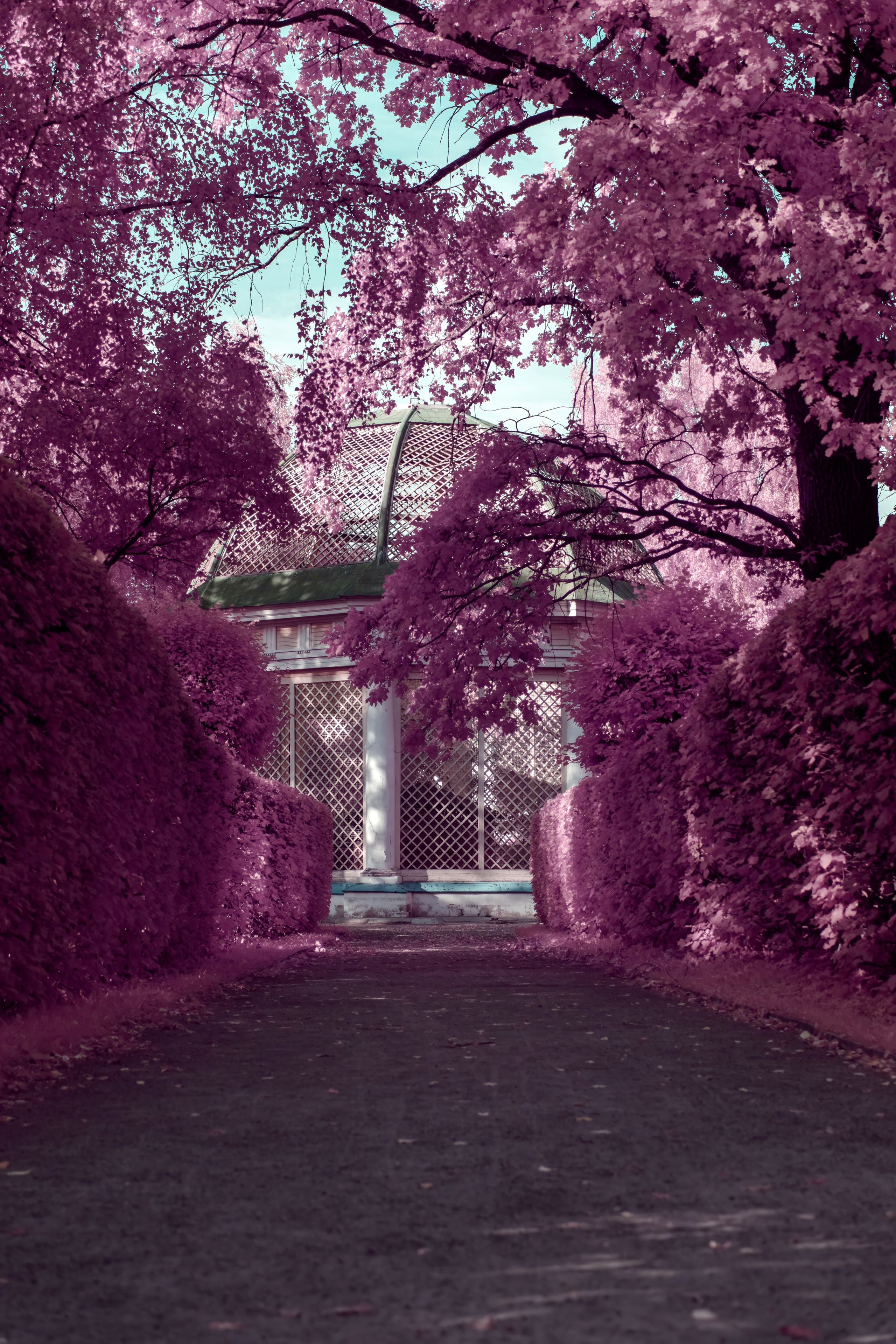 Color — Цветная