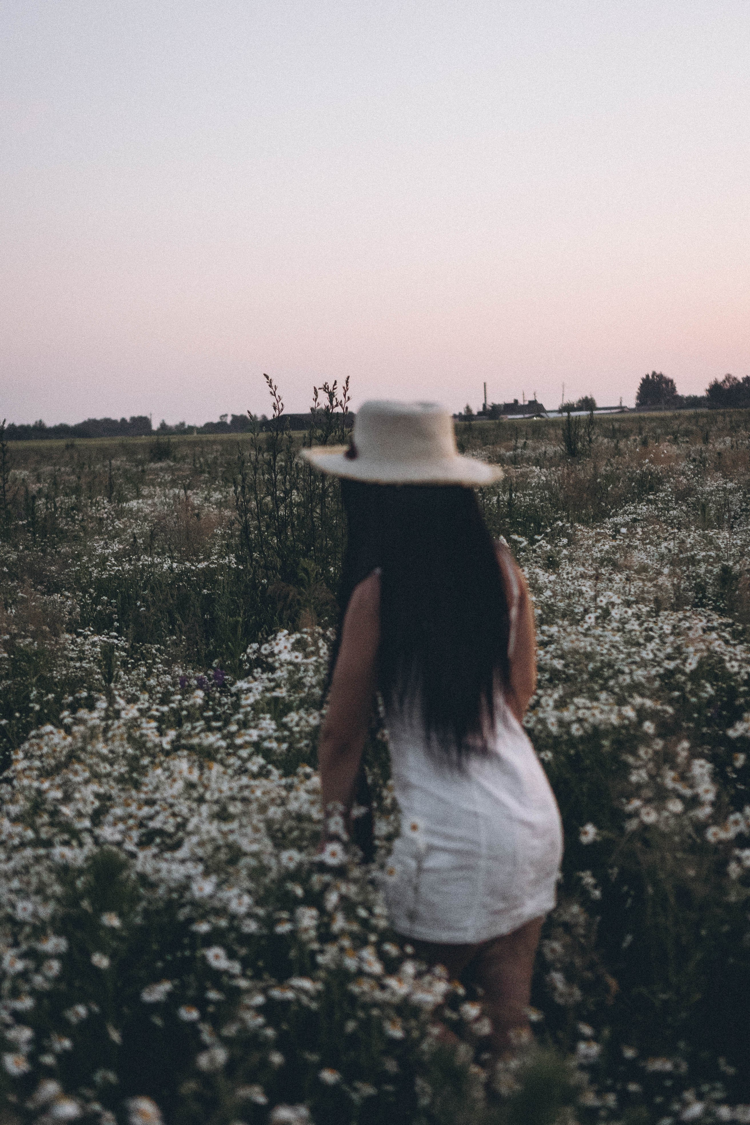 Ромашковое поле. Профессиональный фотограф, Санкт-Петербург — Виктория Богомолова