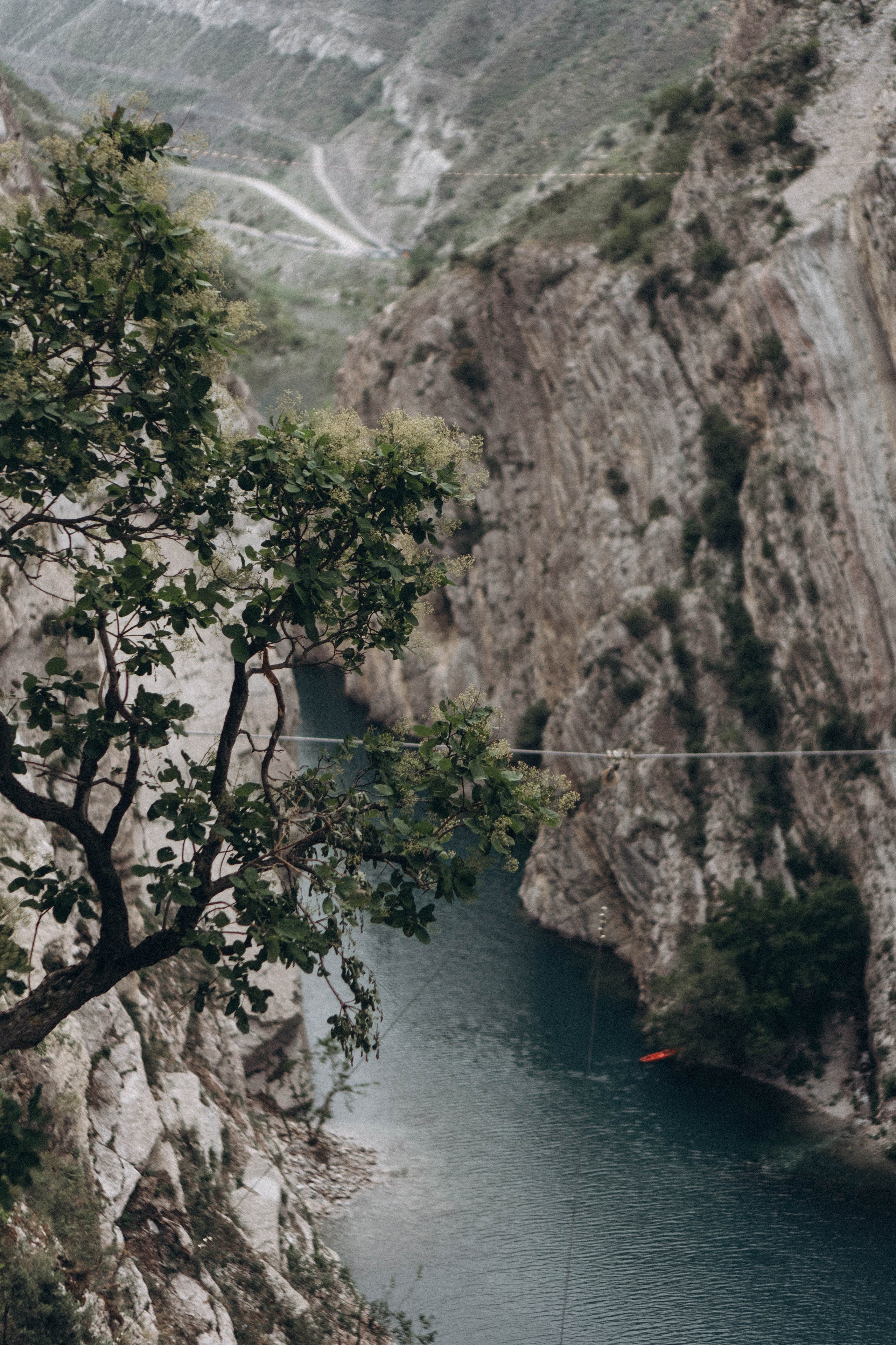 Кавказ. Профессиональный фотограф, Санкт-Петербург — Виктория Богомолова