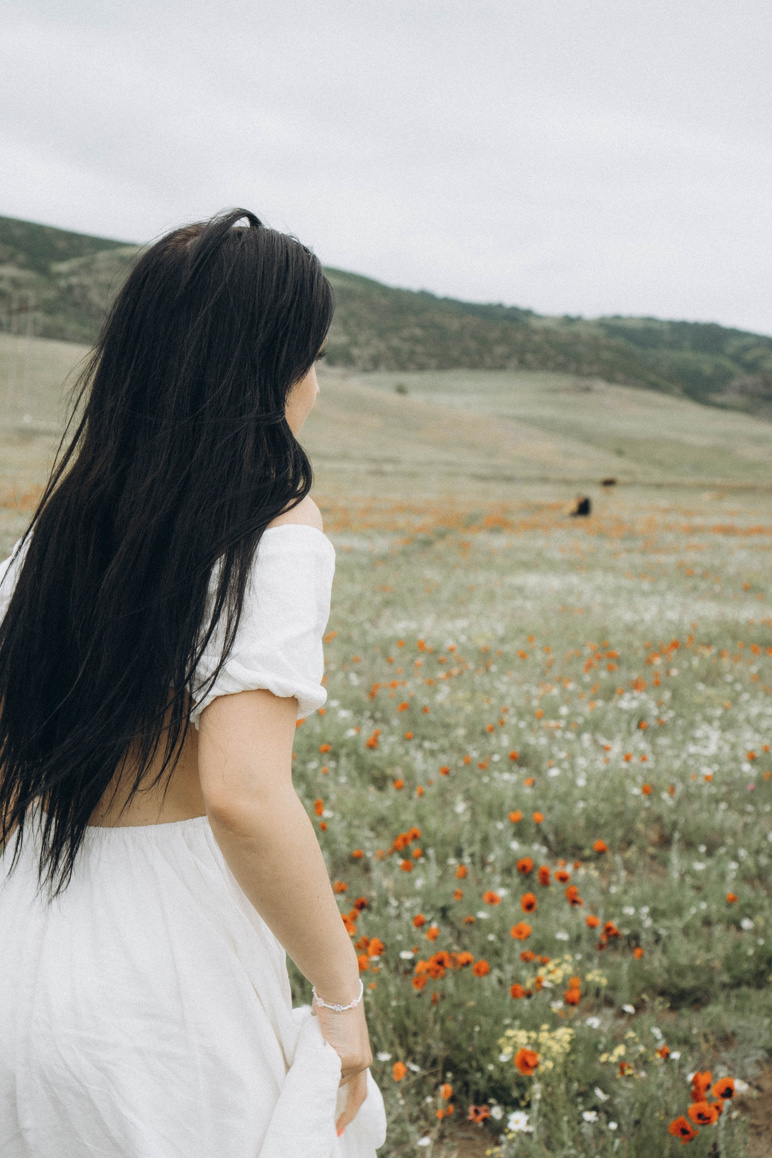 Маковое поле. Профессиональный фотограф, Санкт-Петербург — Виктория Богомолова