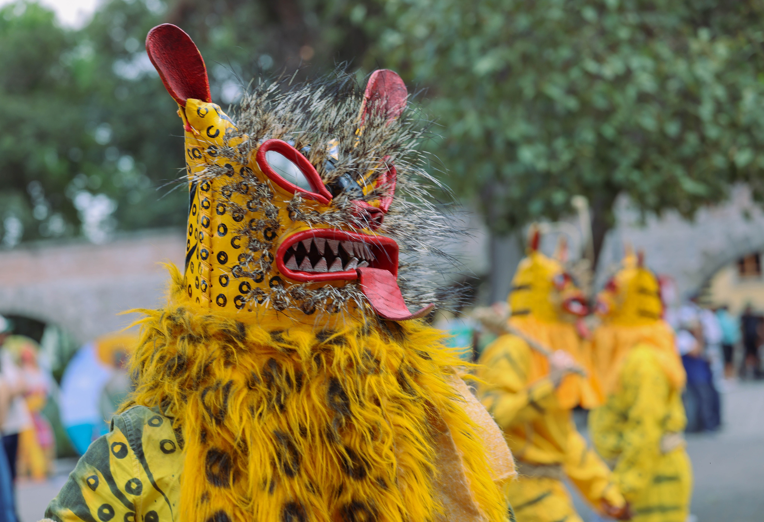 Фестиваль Герреро. Kateserbina