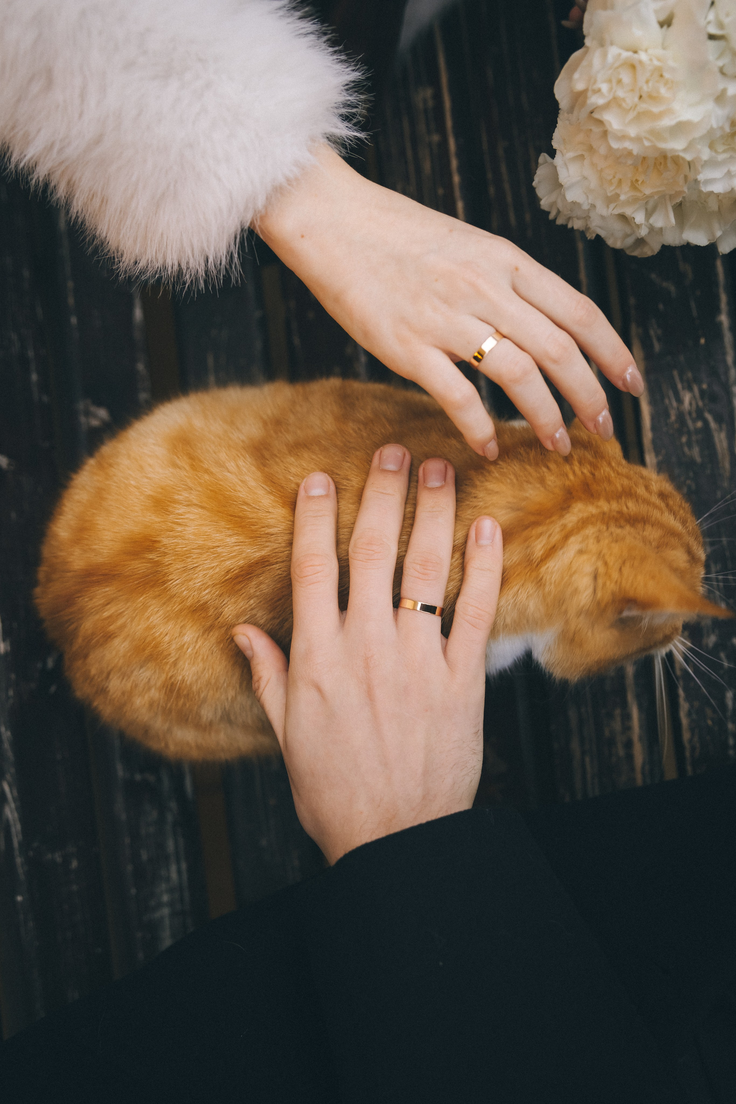 Свадьба в канун Нового года. Фотограф Зеленоградск Красильникова Елена