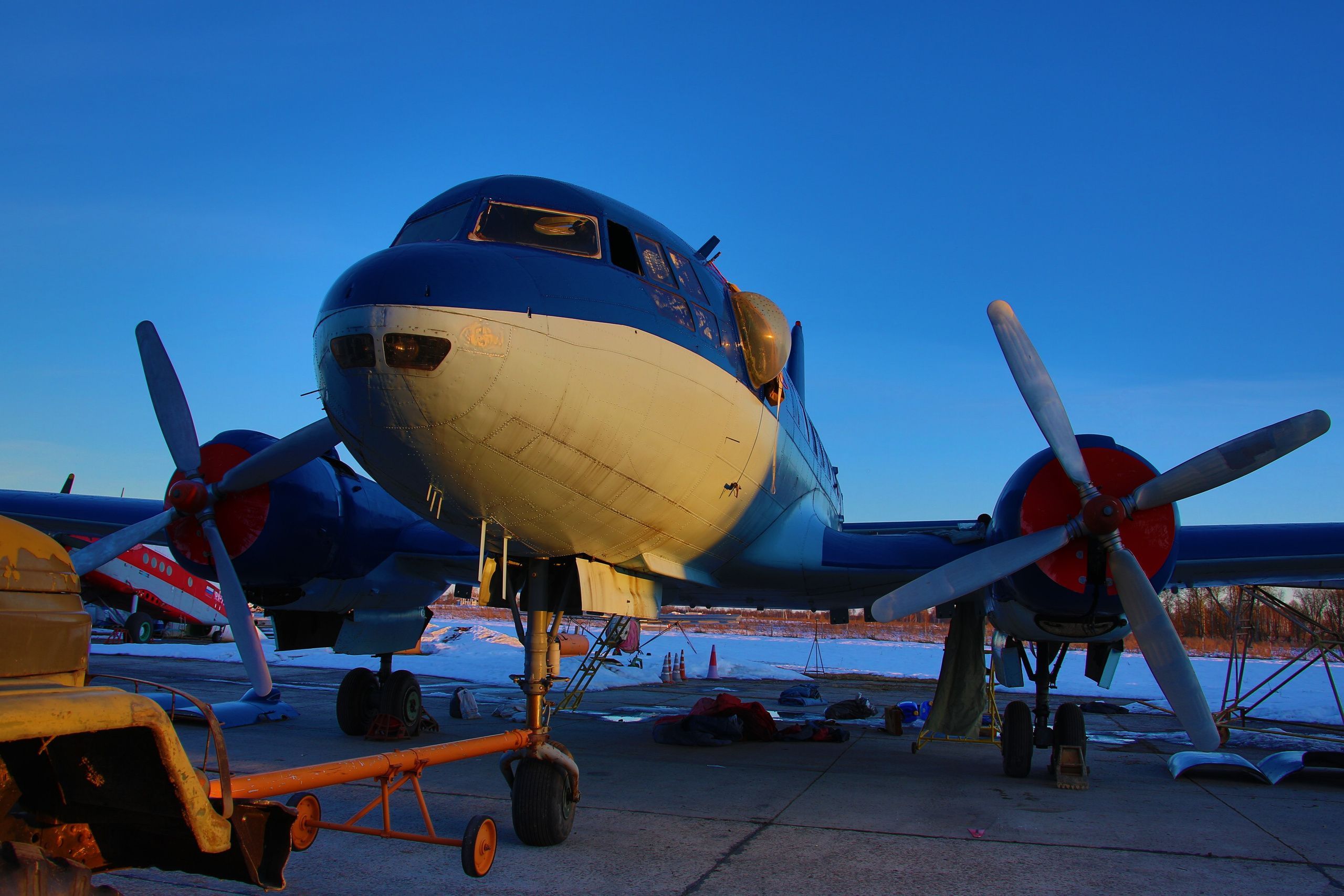 Ил-14Т «Голубая Мечта» (2026 г.). Фотоальбом показывающий увлекательный мир авиации и мир медведей Андрея Иванова