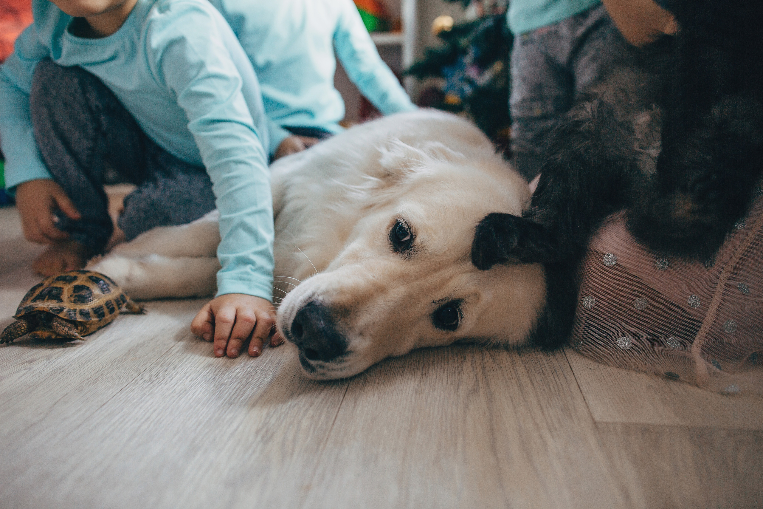 СемьЯ. Свадебный и семейный фотограф в Самаре Посконнова Анна