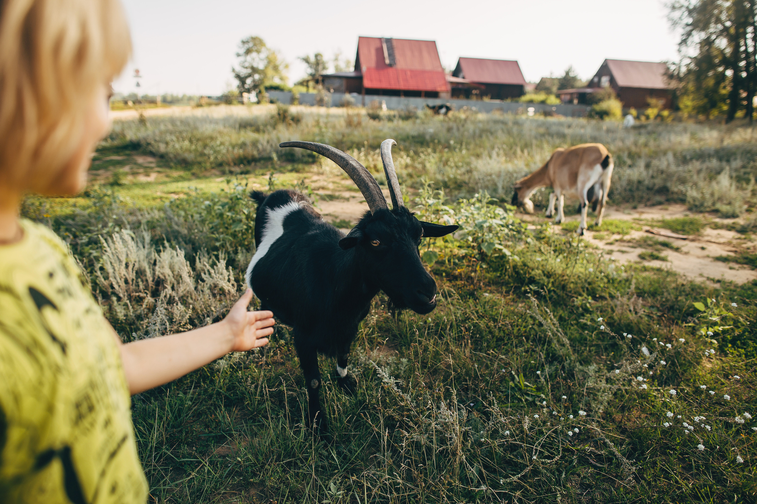 Солнечные зайчики. Свадебный и семейный фотограф в Самаре Посконнова Анна