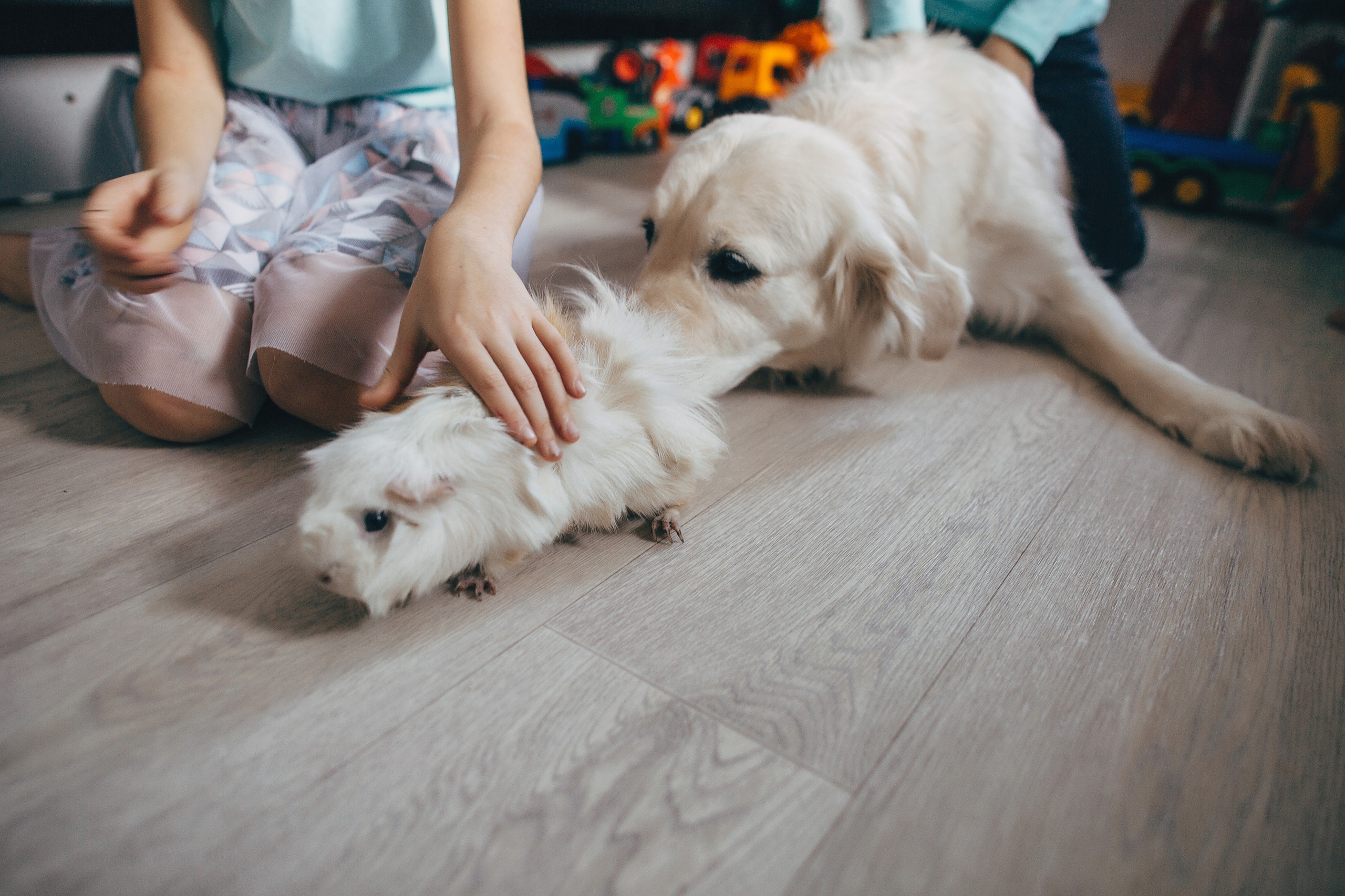 СемьЯ. Свадебный и семейный фотограф в Самаре Посконнова Анна
