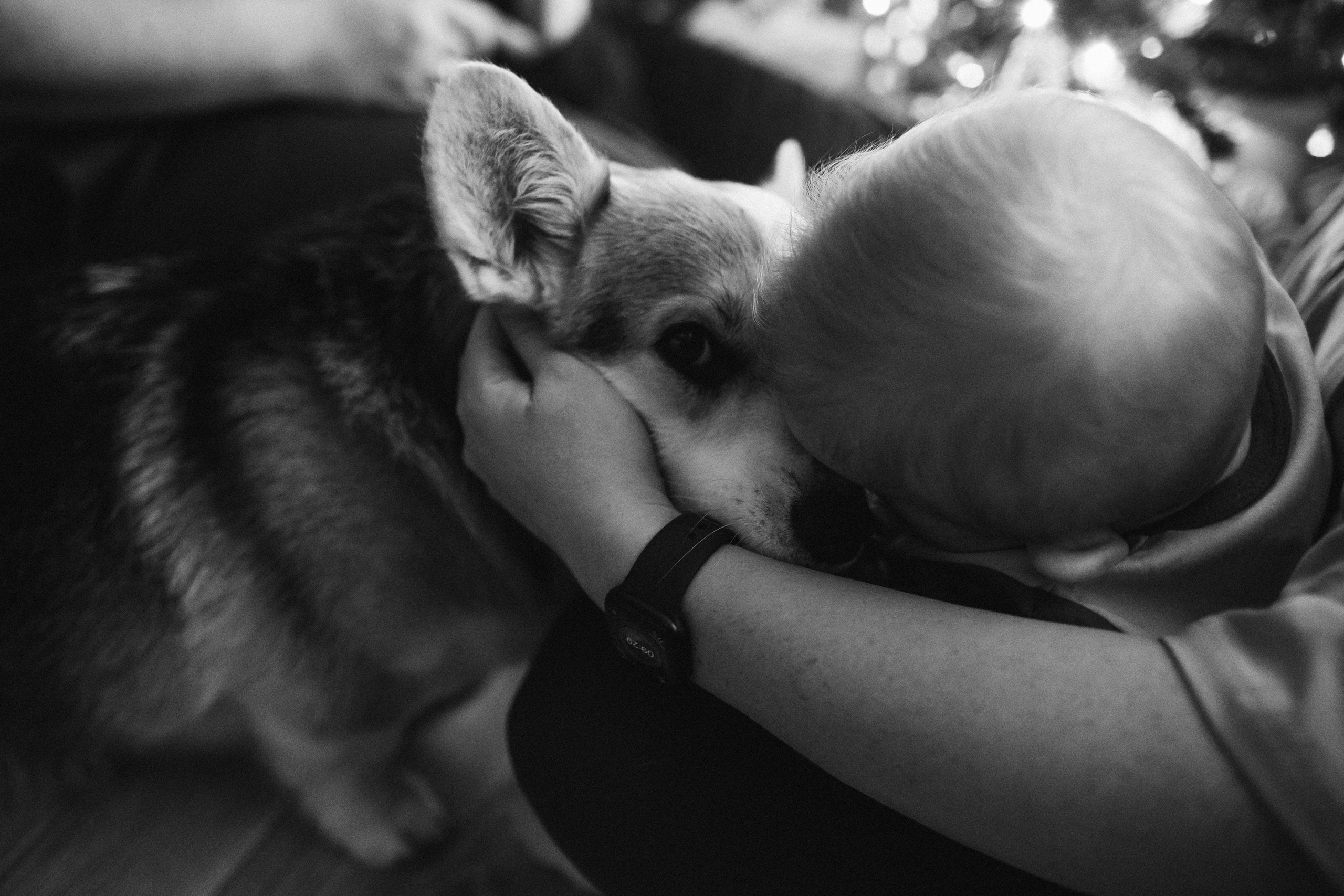 Паша, Лиза, Варенька и Васенька. Свадебный и семейный фотограф в Самаре Посконнова Анна