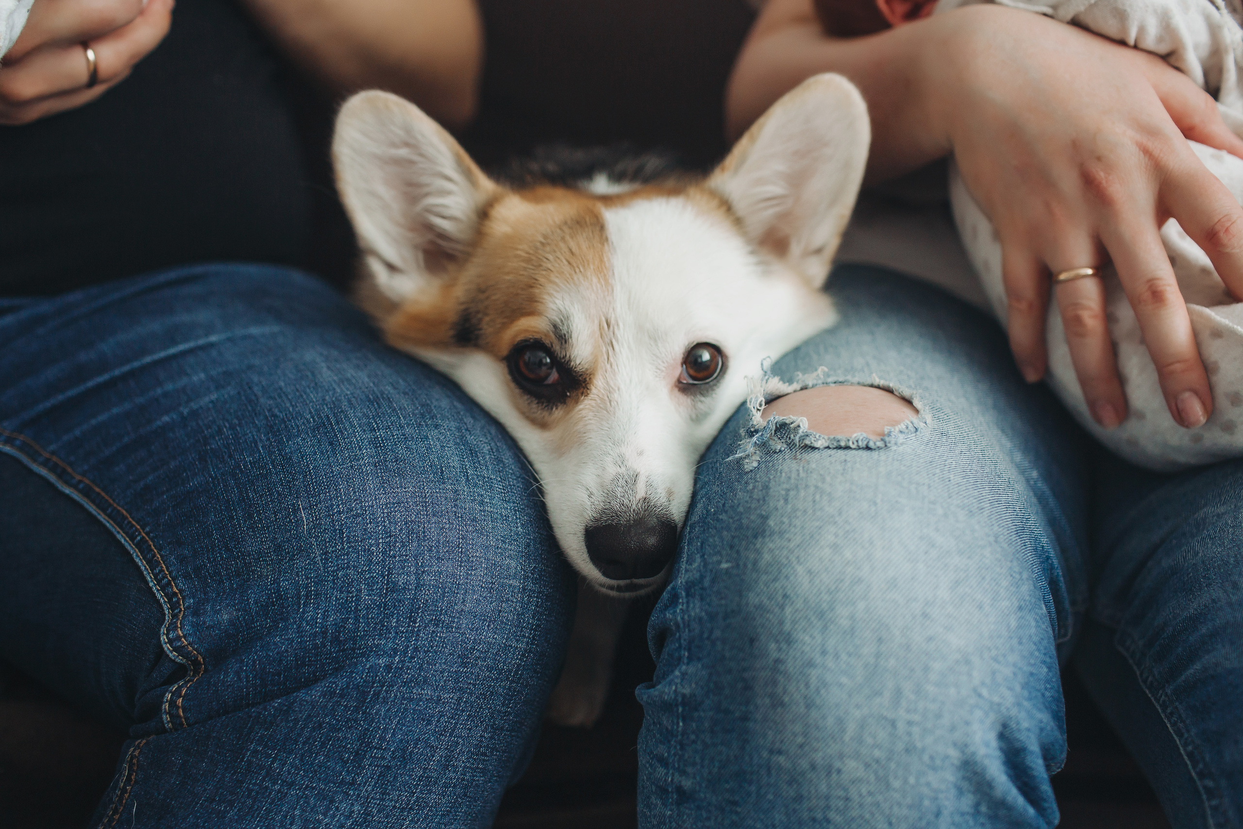 1+1=4. Свадебный и семейный фотограф в Самаре Посконнова Анна